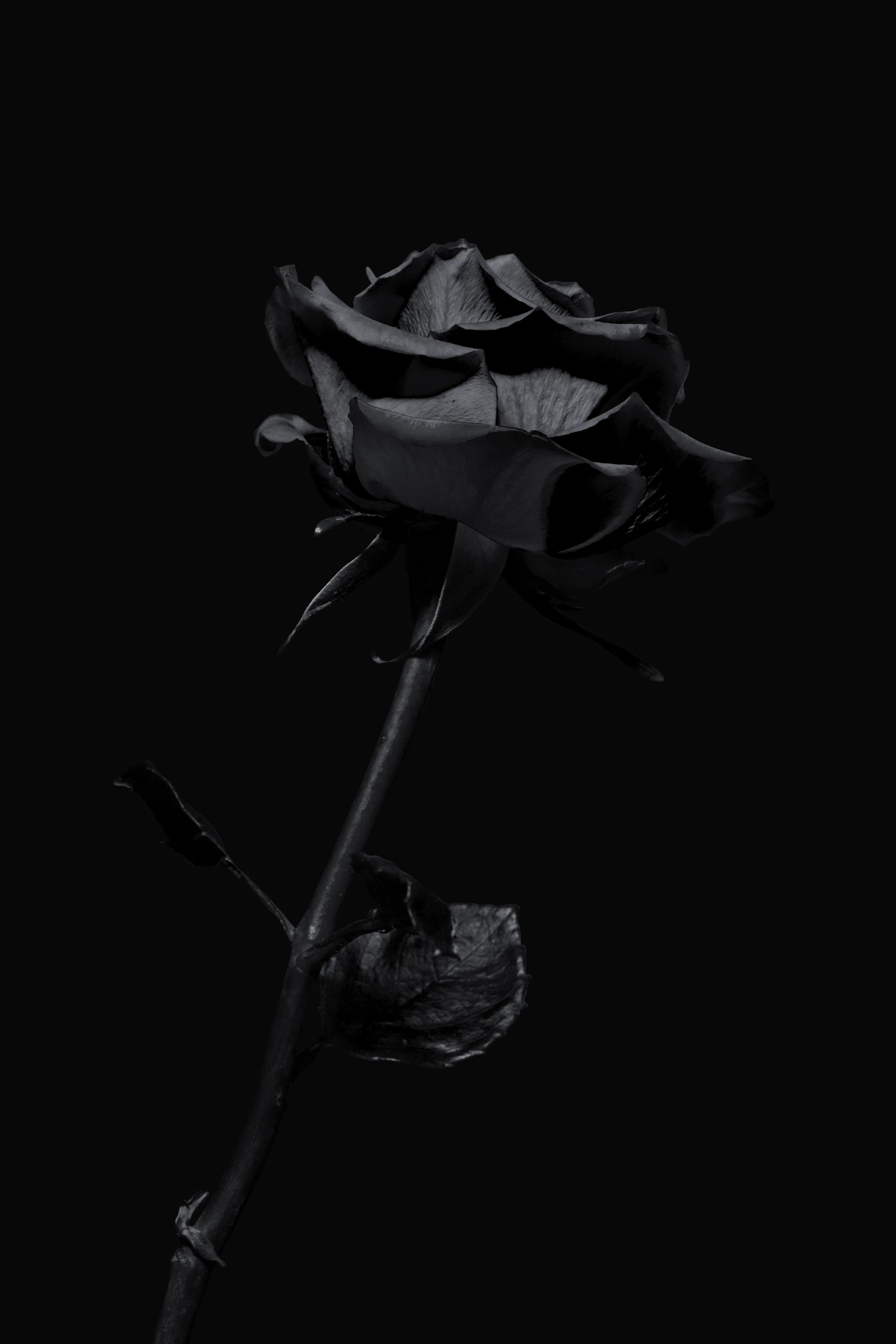 iPhone Dark Picture. Download Free Image