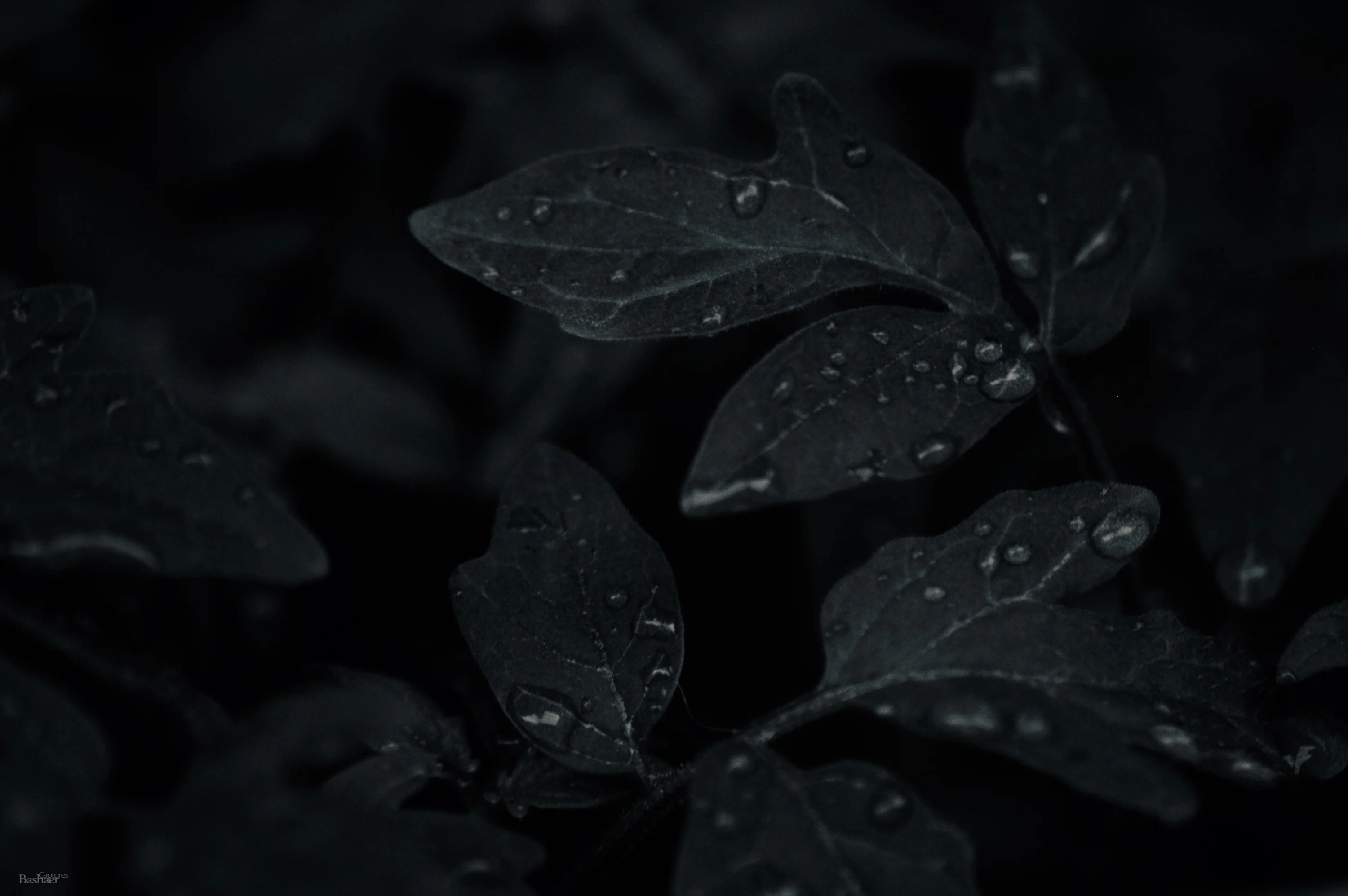 30,Black Rain Picture. Download Free Image