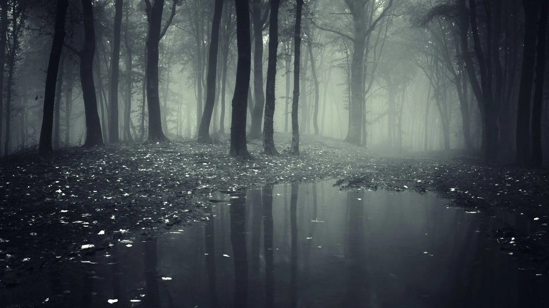 Rainy Desktop Wallpaper