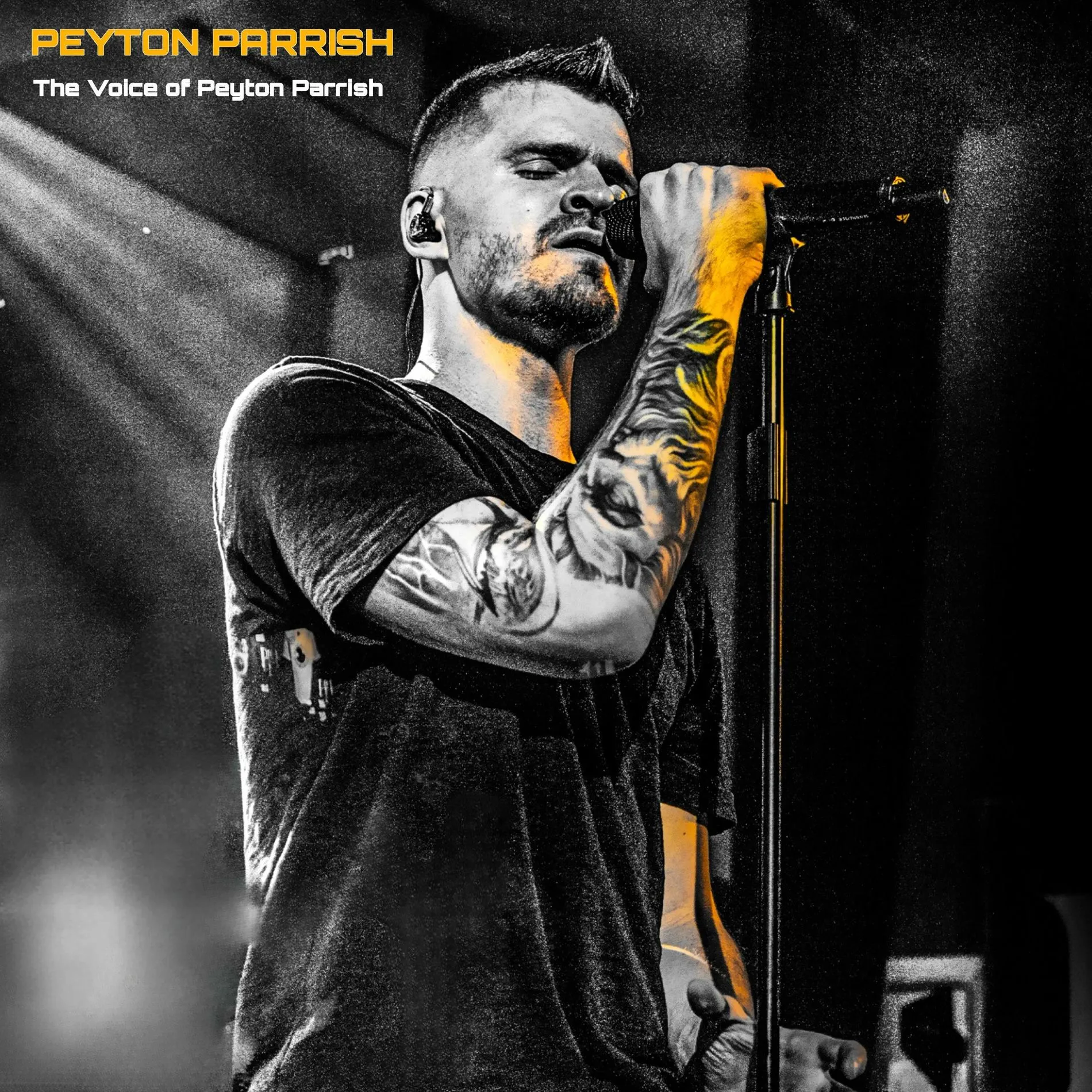 Peyton Parrish: albumok, dalok, koncertek