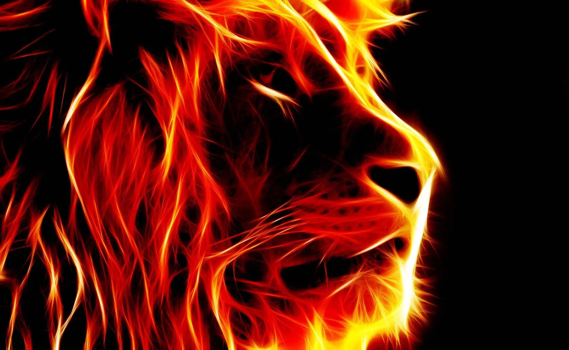 Download A Lion's Head In Flames On A Black Background Wallpaper