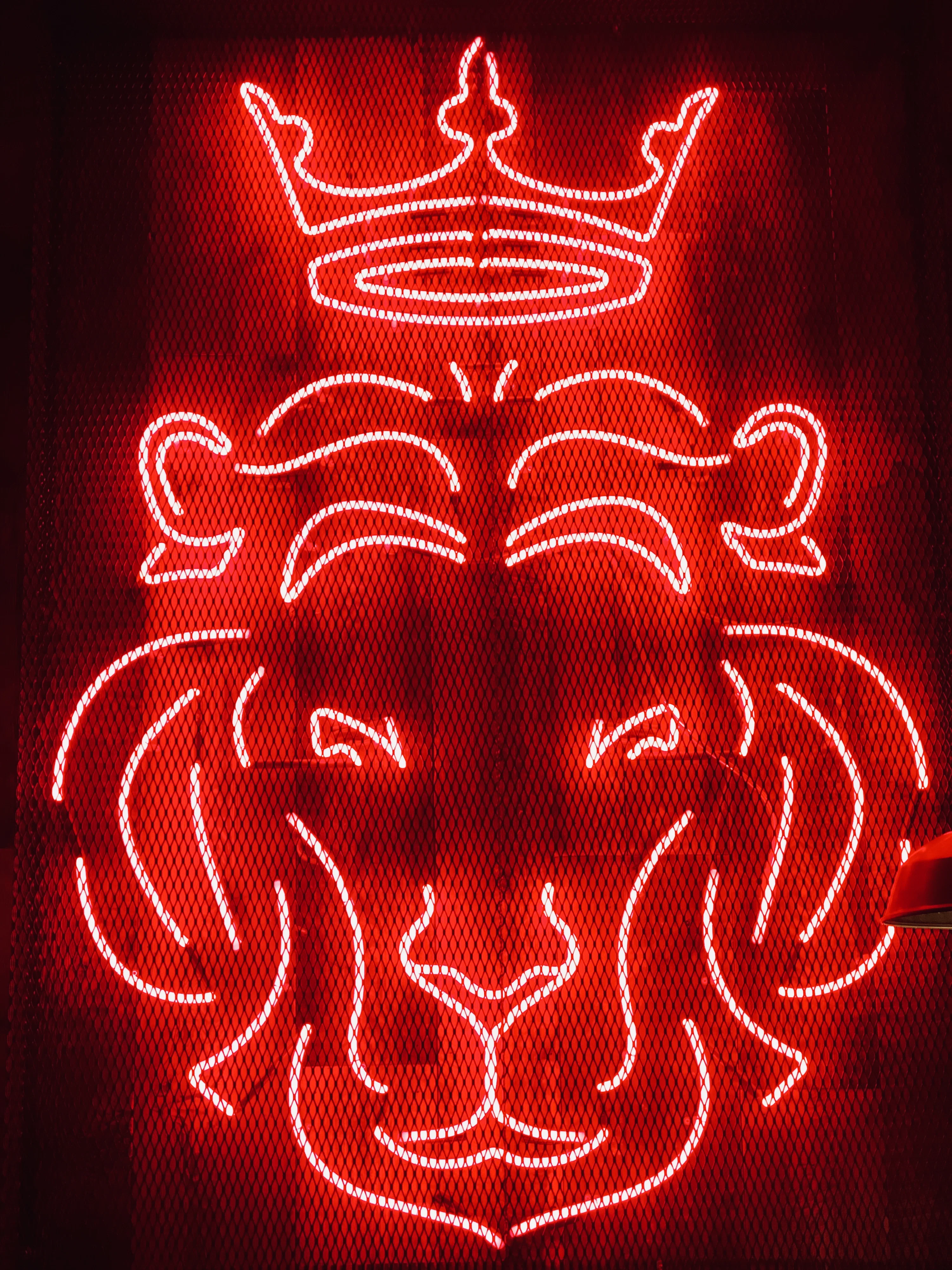 Lion neon sigange photo