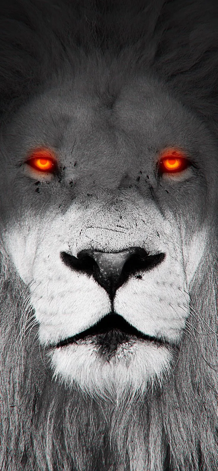 Close Up of a Lion's Face with Red Eyes. One eye lion wallpaper, Red eyes