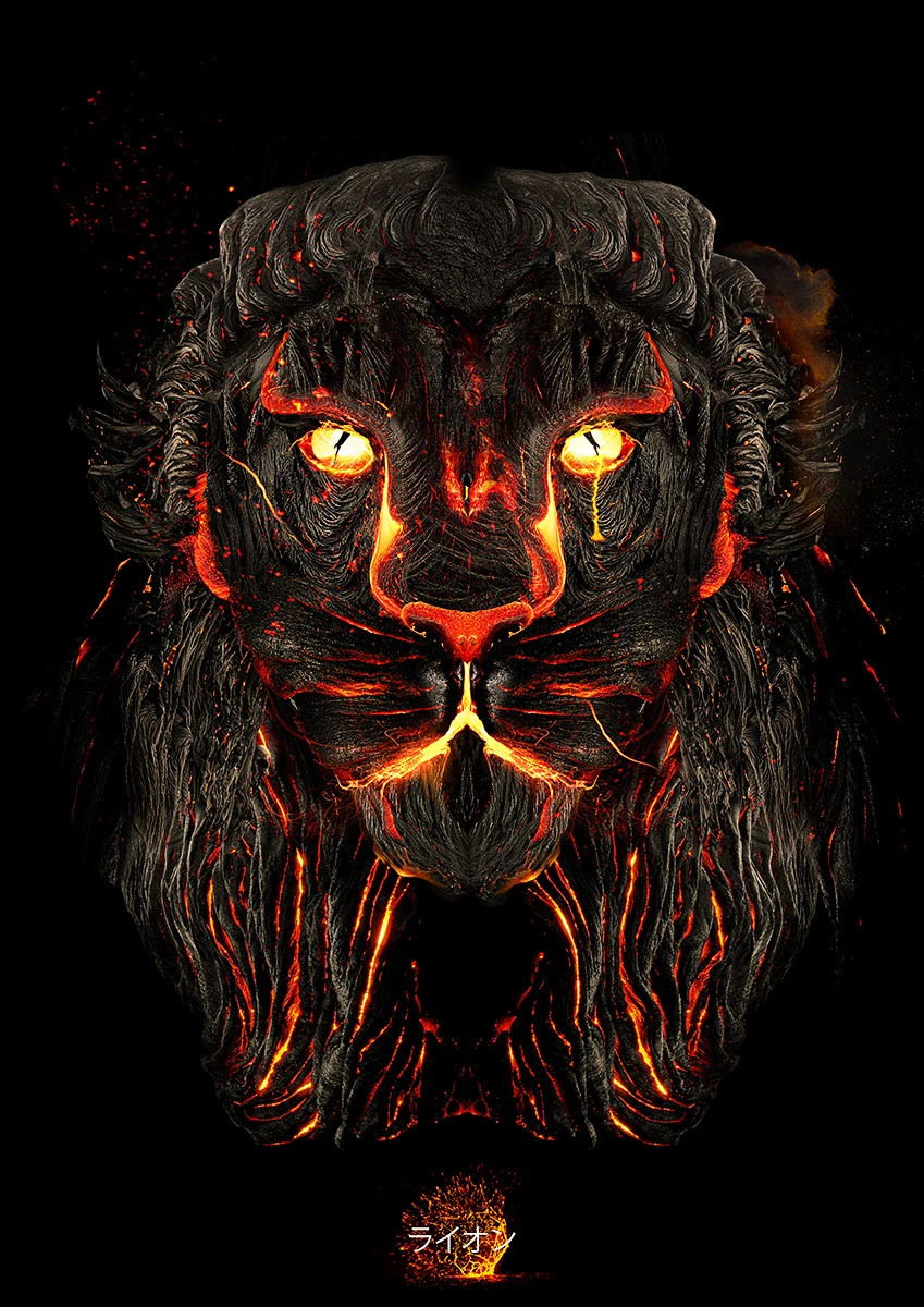 LION - Behance