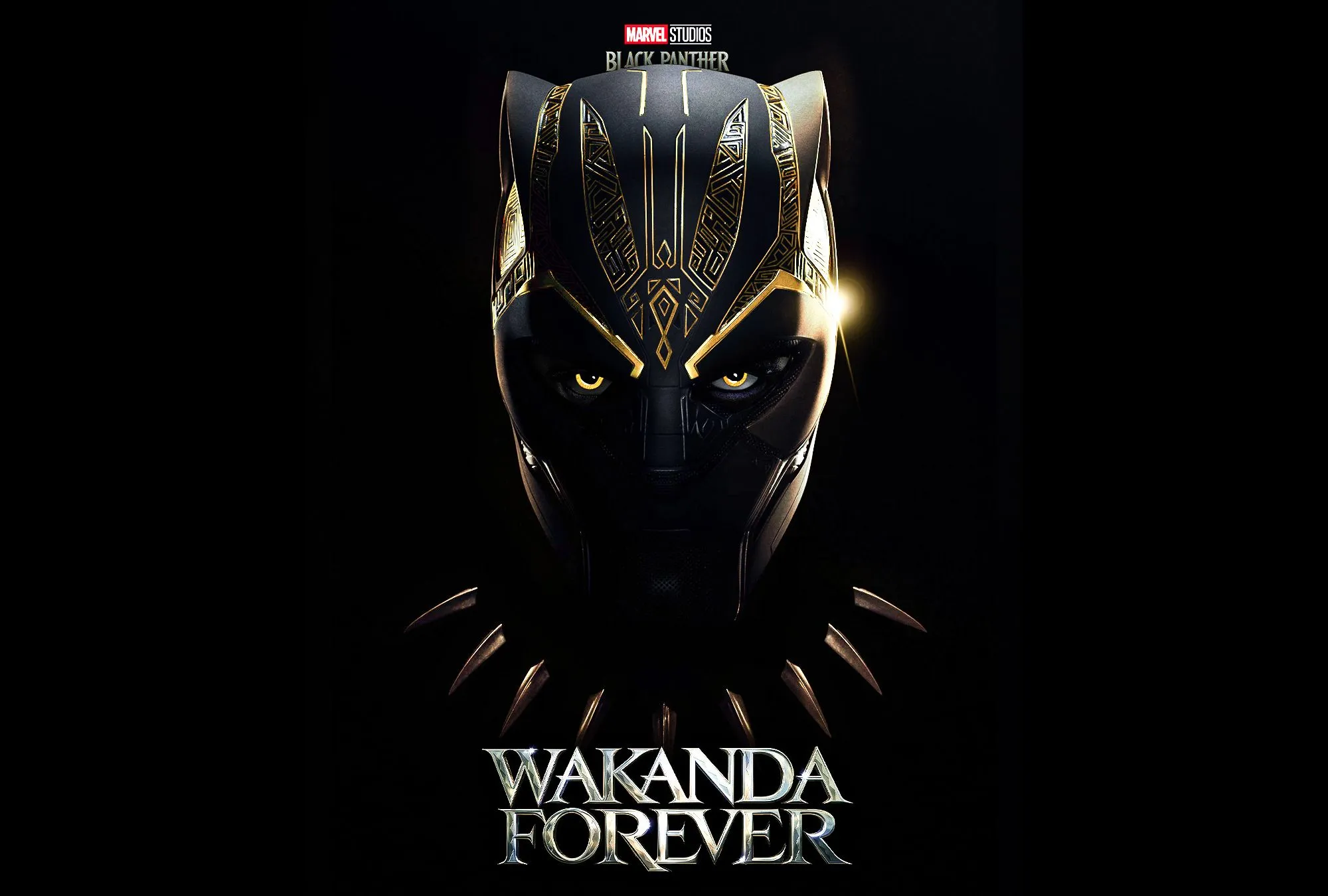 Black Panther: Wakanda Forever HD Fan Art Poster Wallpaper, HD Movies 4K Wallpaper, Image and Background