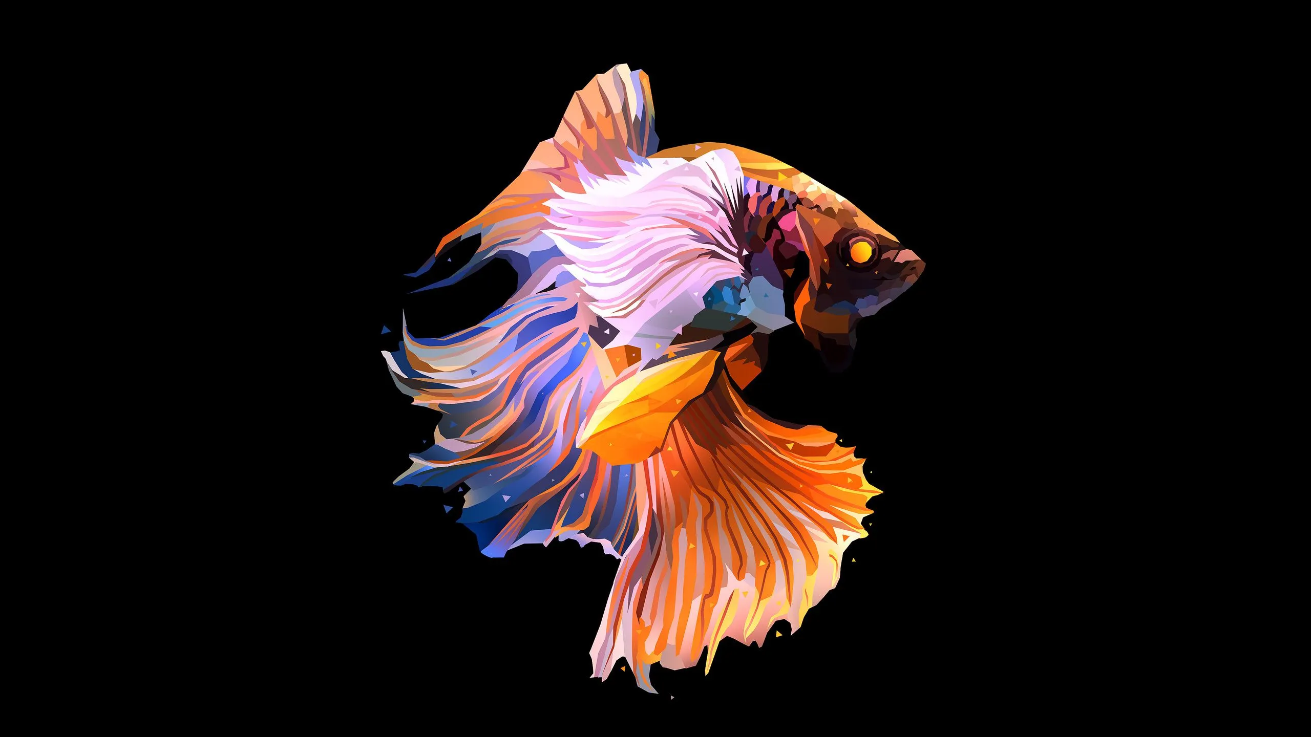 Fish Oled Dark 1440P Resolution , HD 4k Wallpaper, Image, Background, Photos and Picture