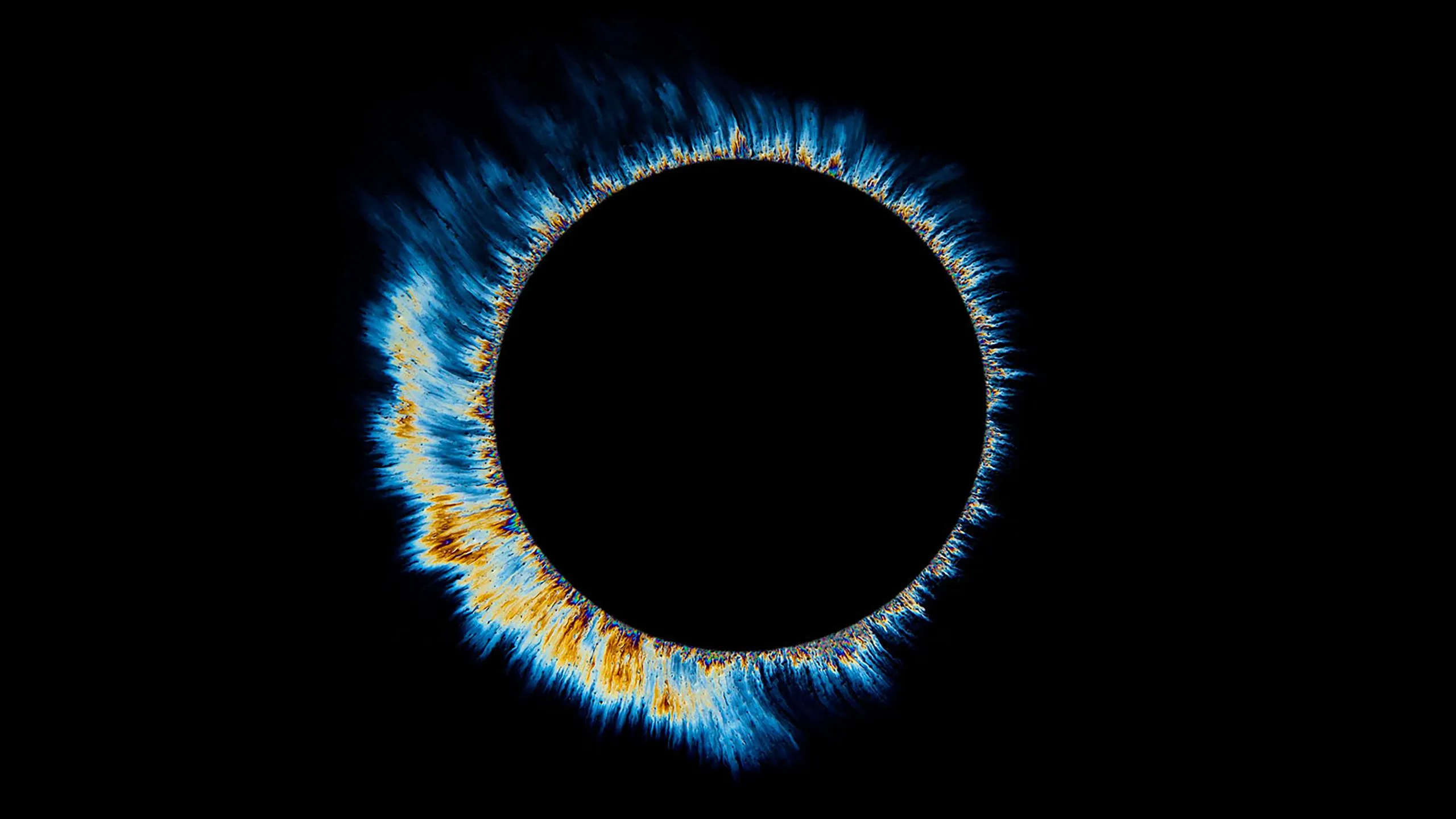1440p OLED Wallpaper