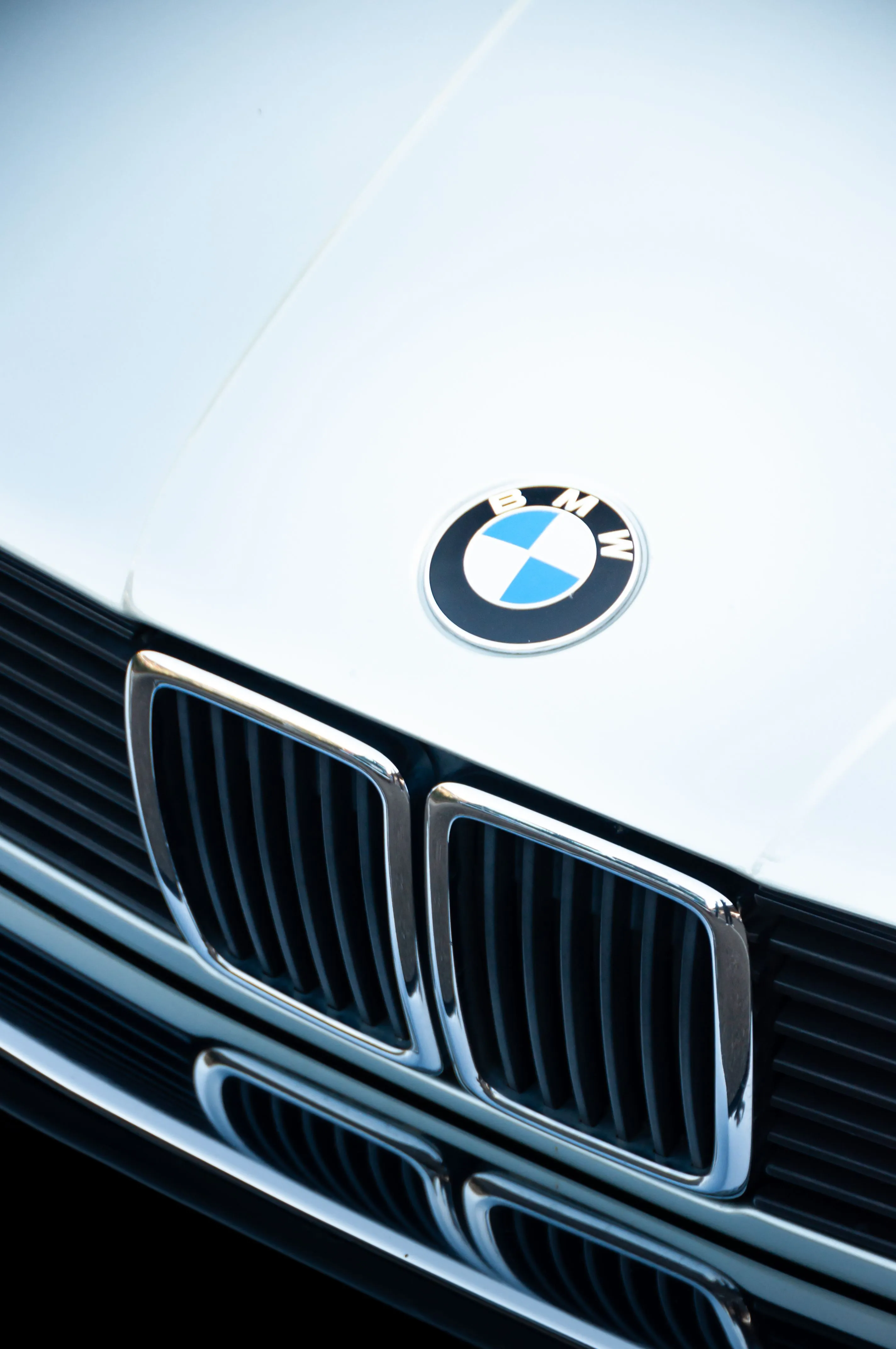 Classic BMW Car Grille And Logo Close Up · Free
