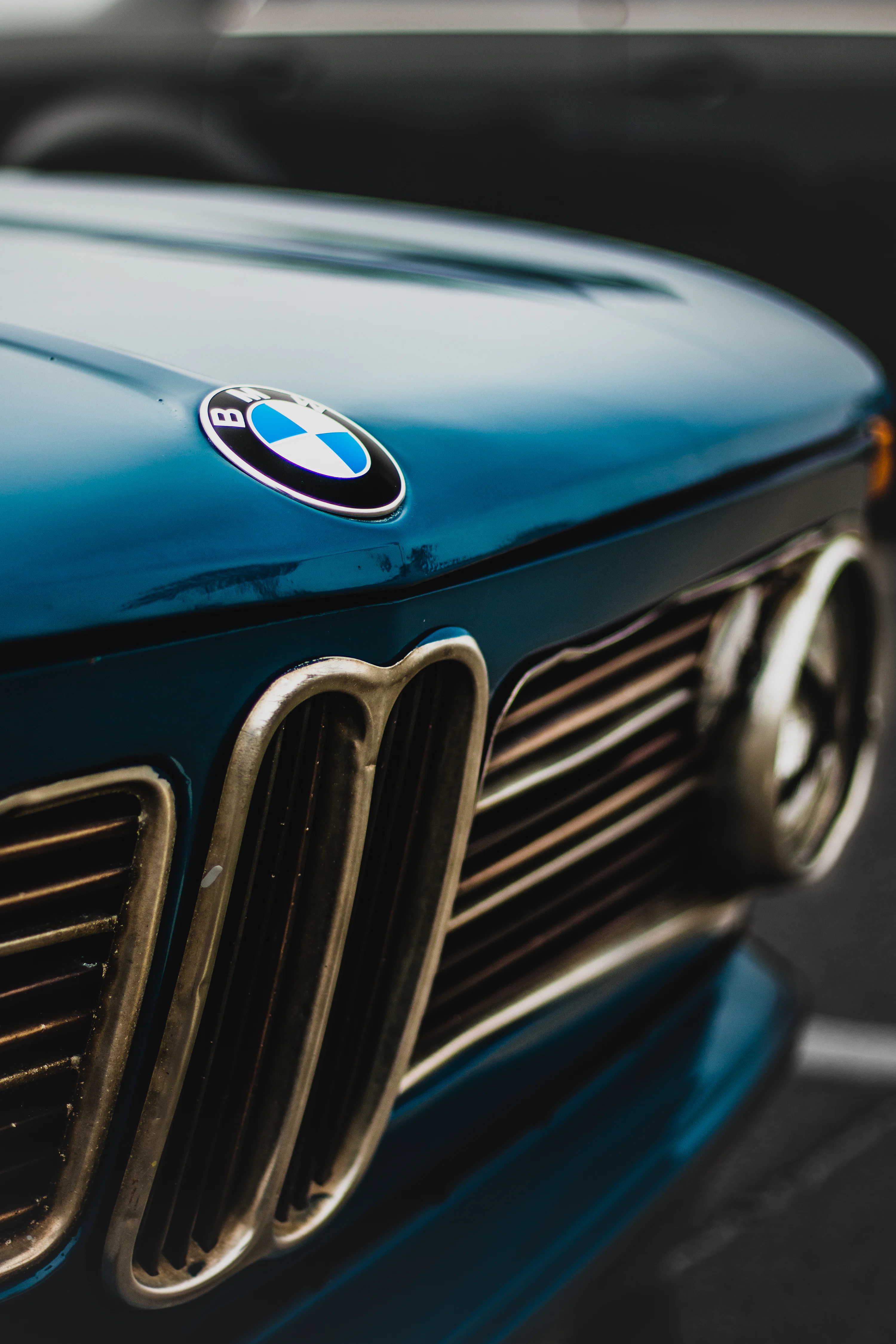 Blue bmw car with license plate photo