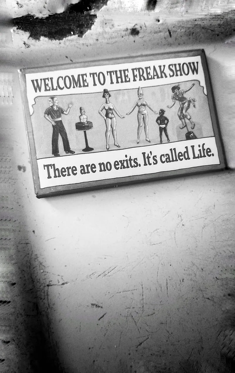 Freaks, bearded lady, carnival, circus, cone head, crab hand, freak show, sideshow, HD phone wallpaper