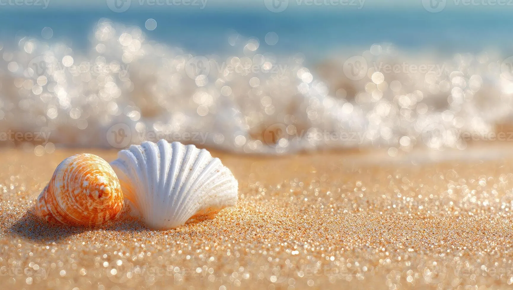 Shells on the beach wallpaper