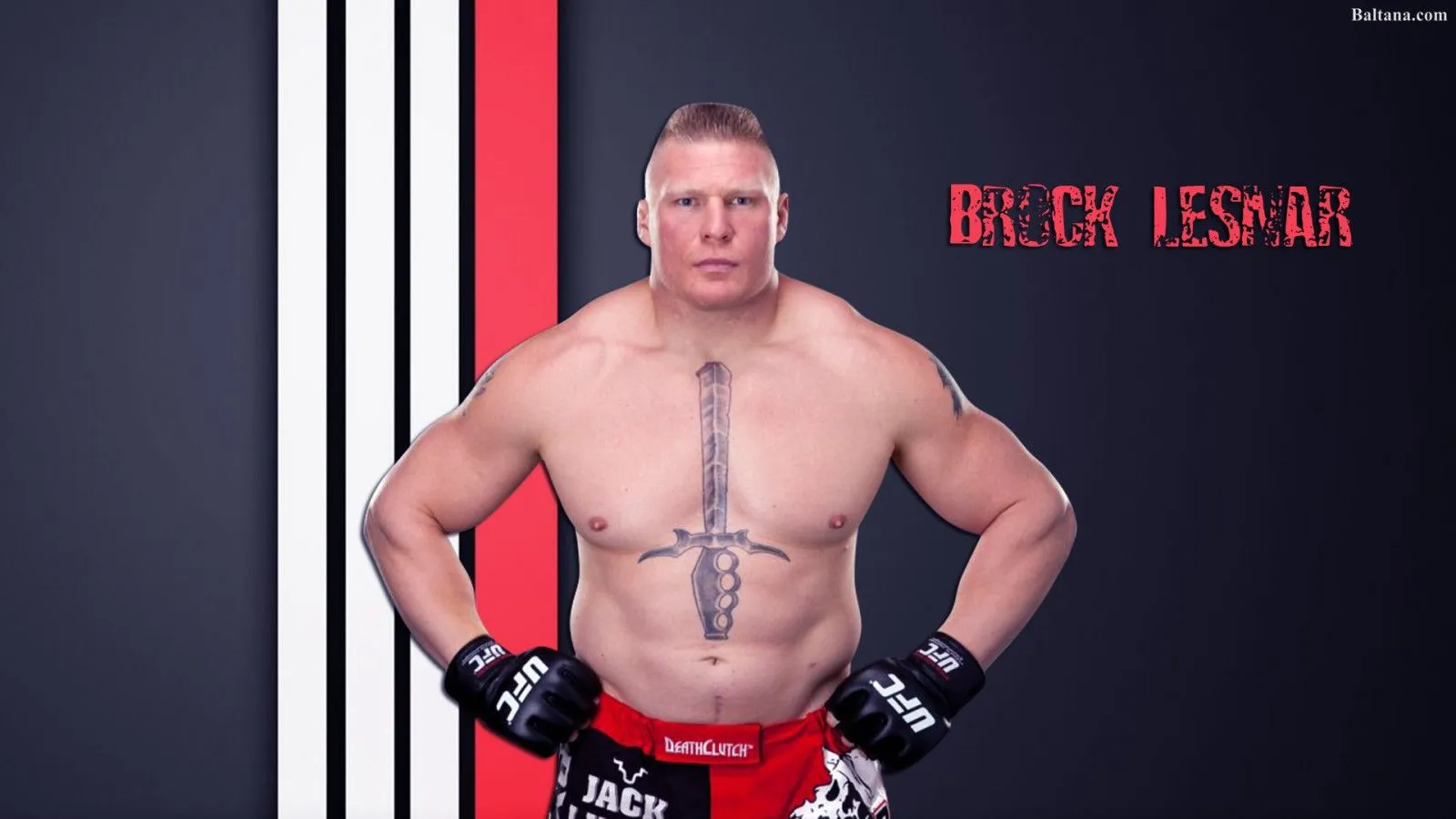 Brock Lesnar HQ Background Wallpaper 31377