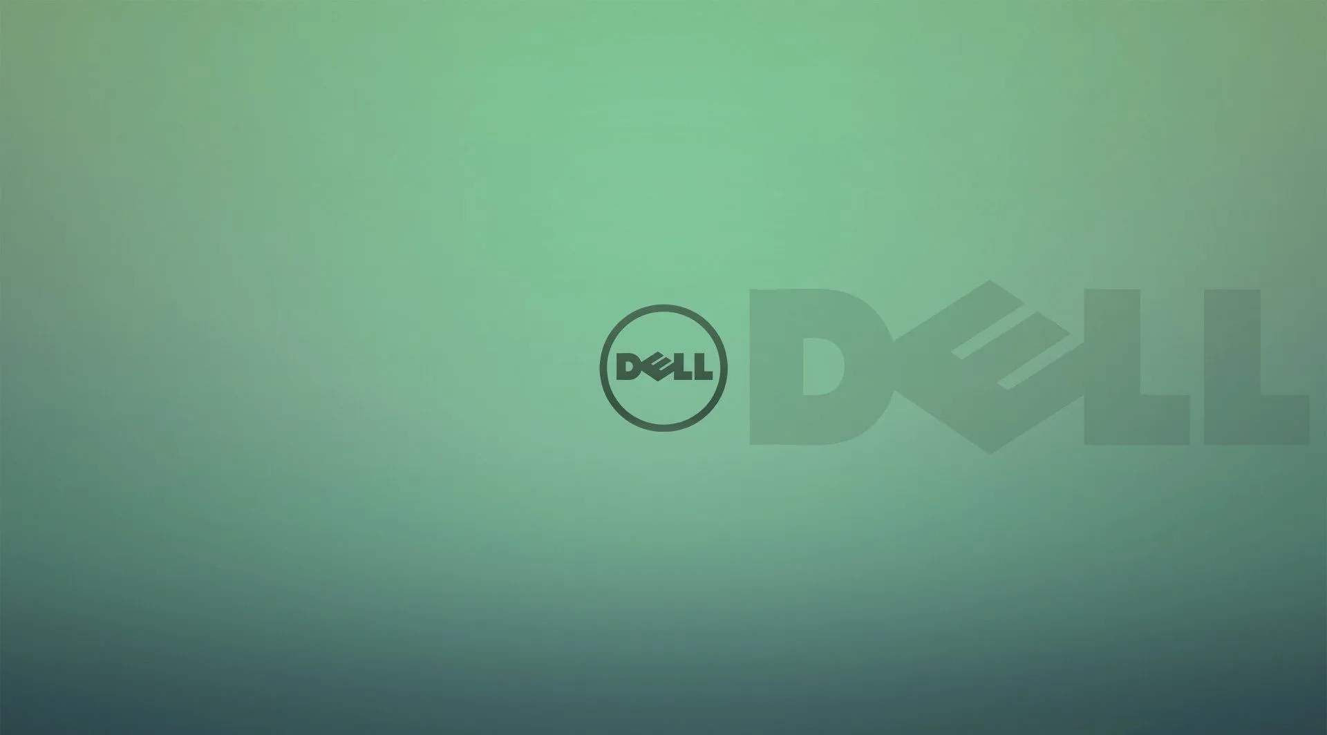 Dell Tech 2K Quad HD Wallpaper