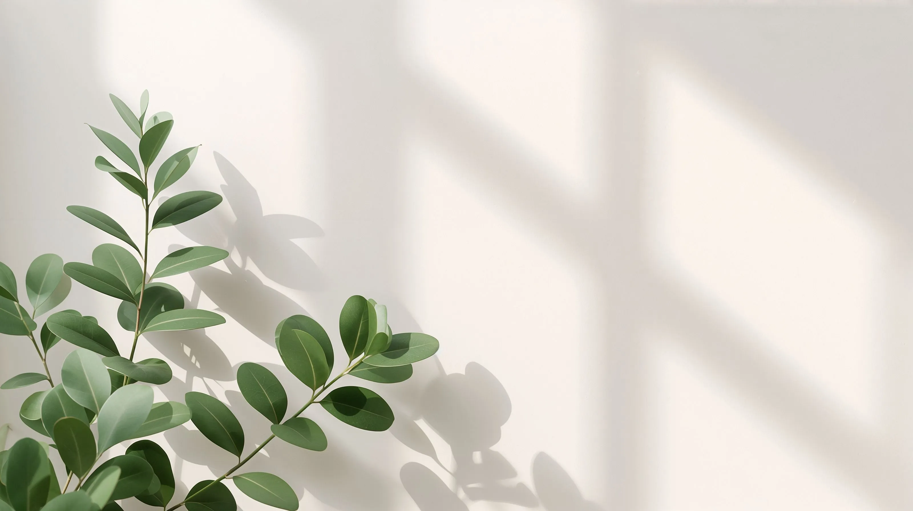 Minimal Desktop Wallpaper