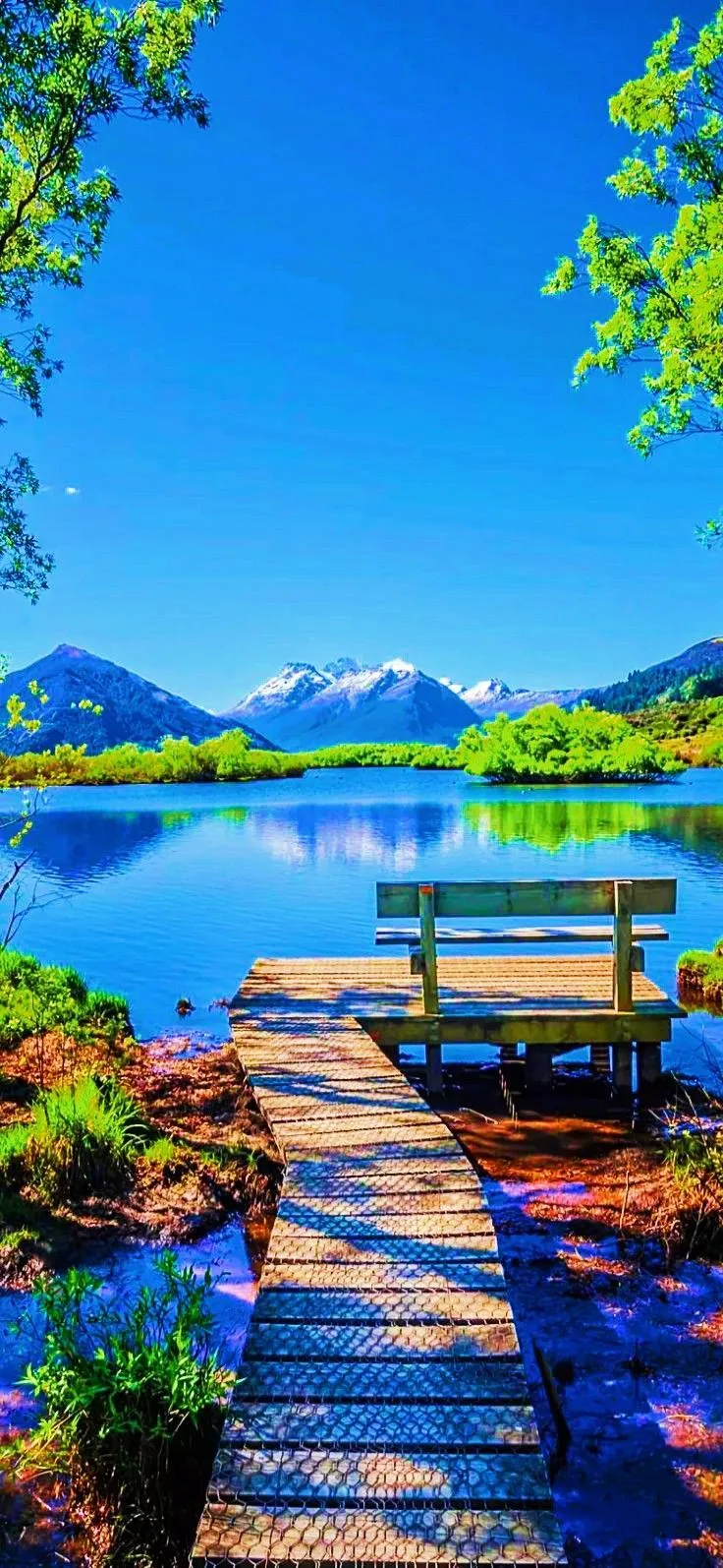 Phone wallpaper ideas. phone wallpaper, nature wallpaper, beautiful wallpaper