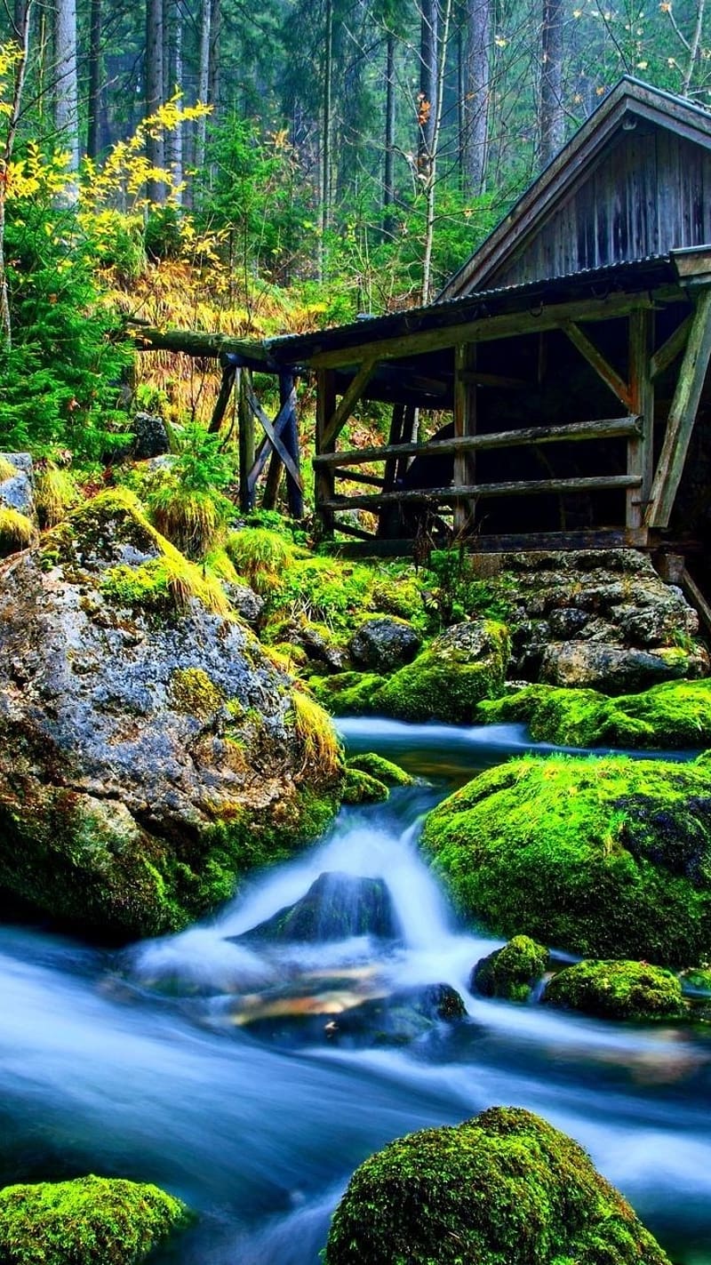 3D Scenery, 3D Nature Scenery, nature, HD phone wallpaper
