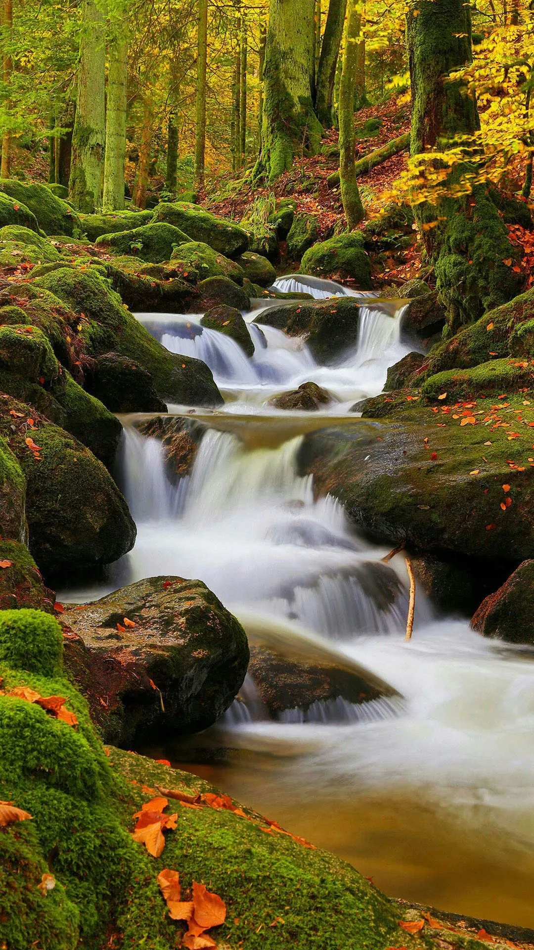 Waterfall nature mobile wallpaper Mobile Walls