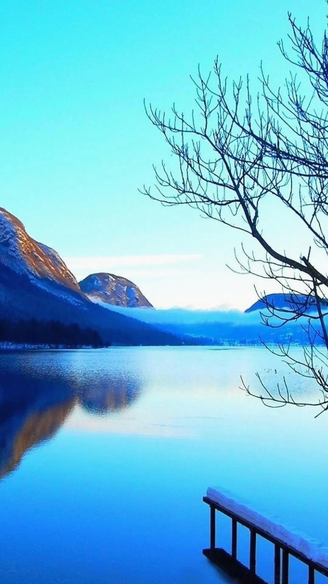 Scenery Wallpaper: Bring Nature to Your Screen