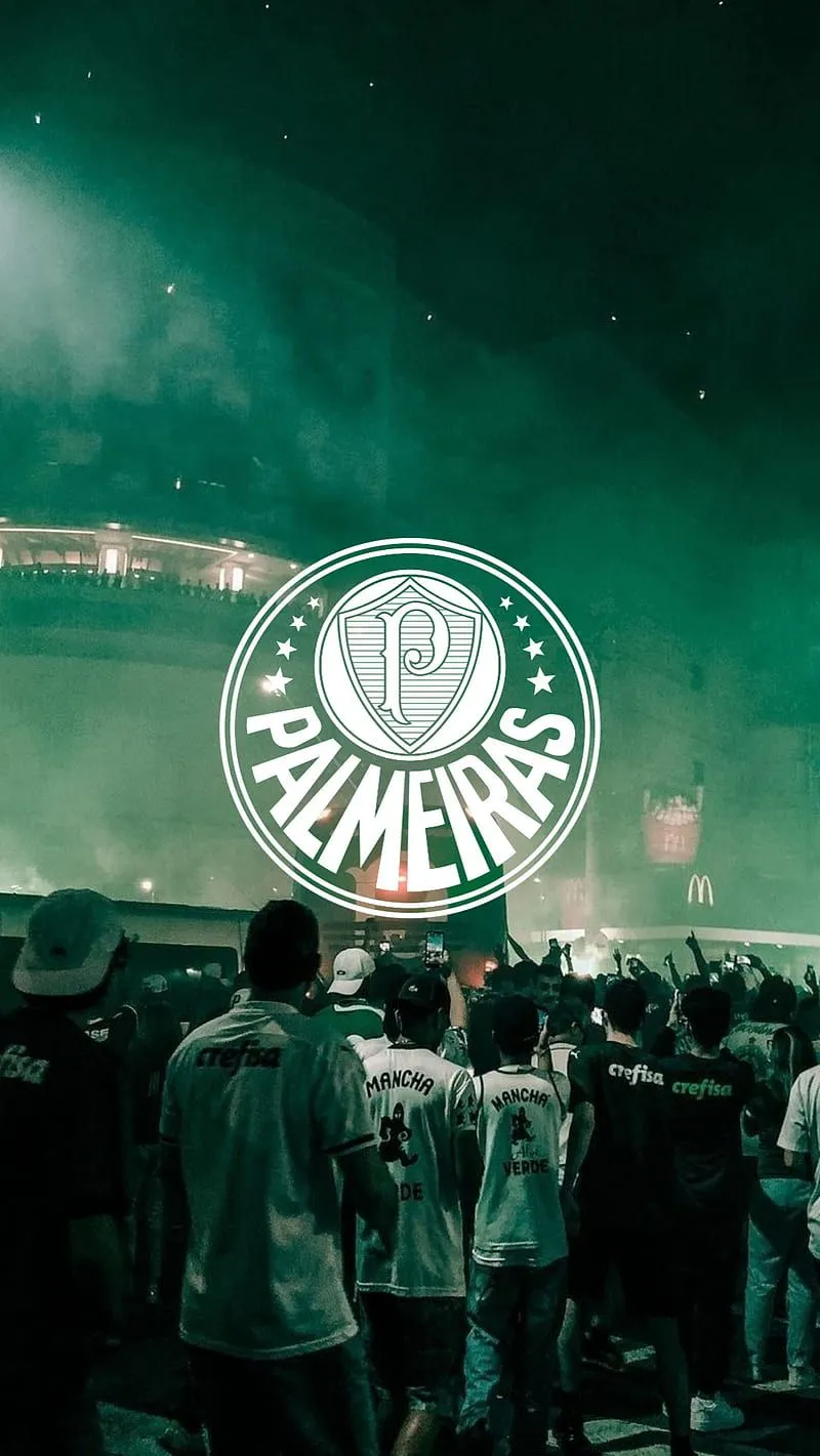 Palmeiras, futebol, torcida, HD phone wallpaper