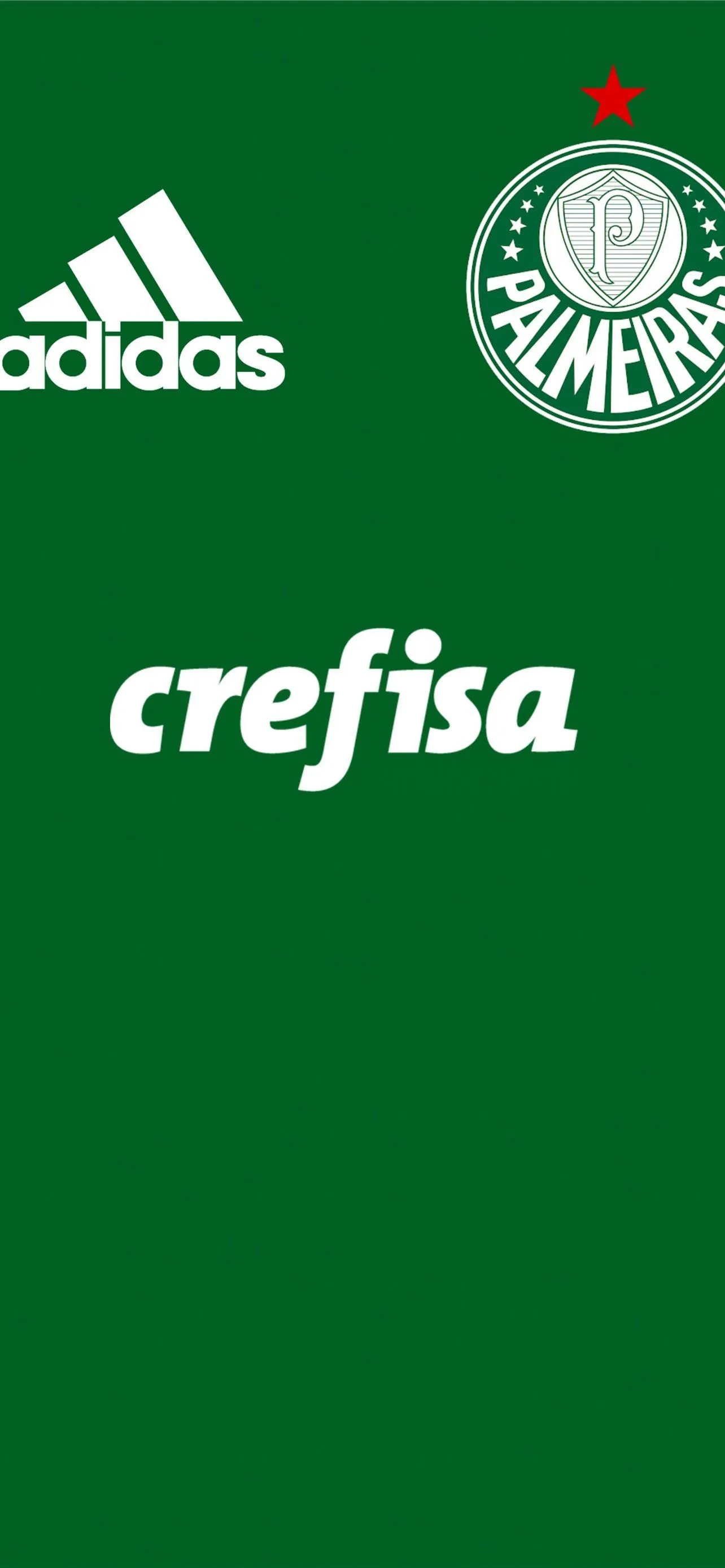 palmeiras iPhone Wallpaper Free Download