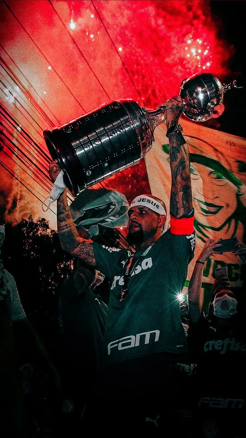 Palmeiras, futebol, torcida, HD phone wallpaper
