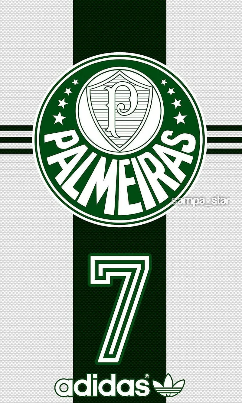 Palmeiras, time, futebol, brazil, HD phone wallpaper