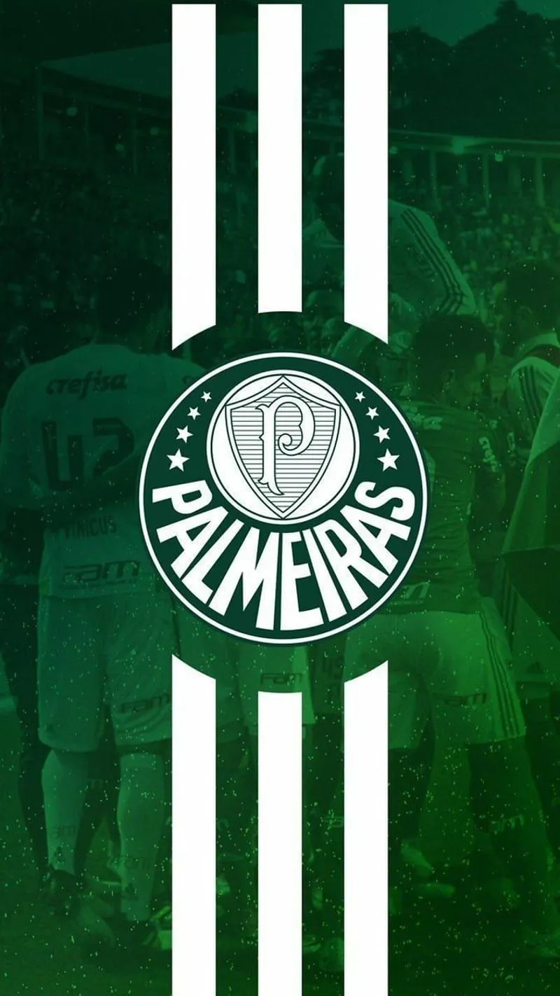 Palmeiras, futebol, torcida, HD phone wallpaper