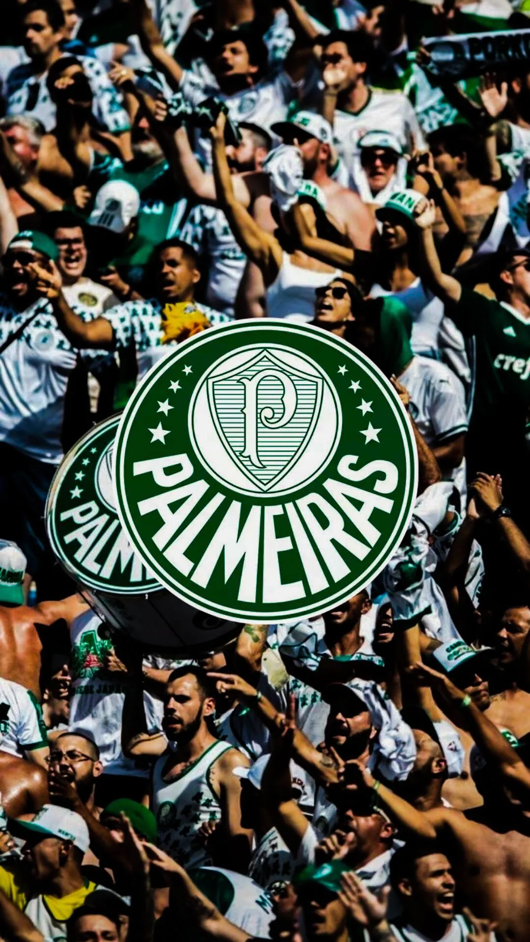 ideias de Wallpaper palmeiras. wallpaper palmeiras, palmeiras, fotos do palmeiras