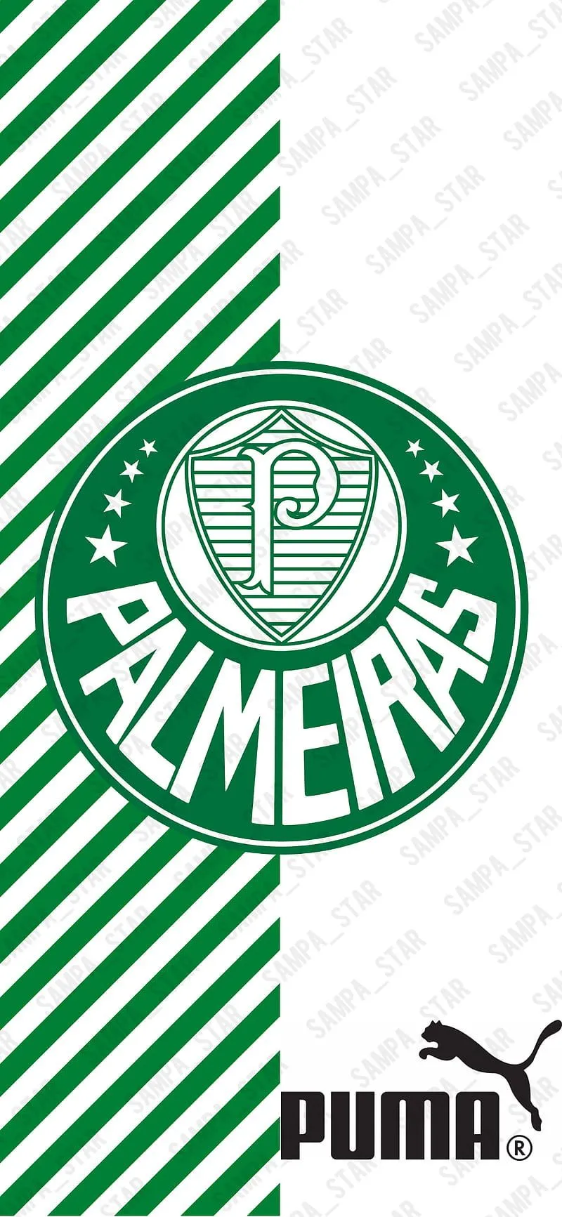 Palmeiras, time, futebol, brazil, HD phone wallpaper