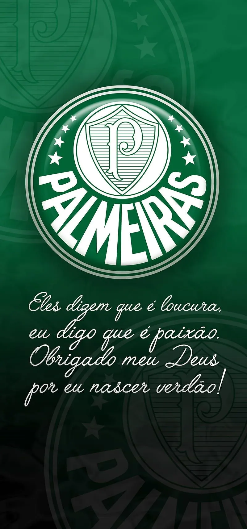 PALMEIRAS, brazil, futebol, sao paulo, se palmeiras, verde, HD phone wallpaper