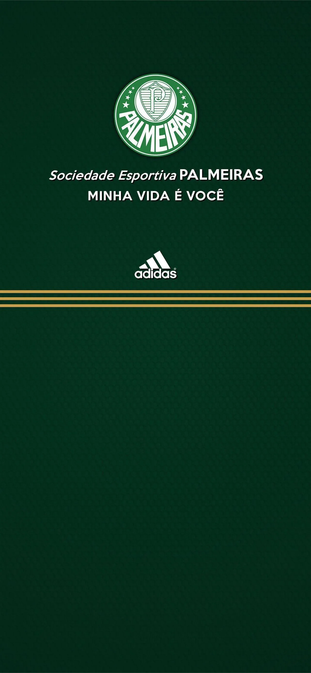 Best Palmeiras iPhone HD Wallpaper
