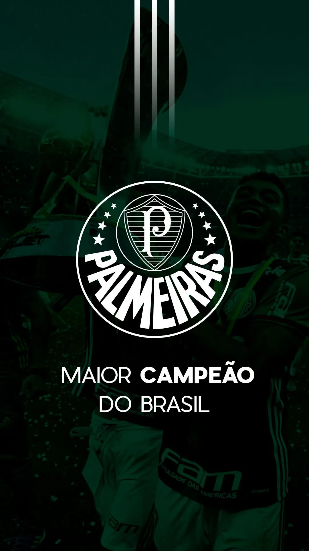 Palmeiras Wallpaper Palmeiras Wallpaper Download