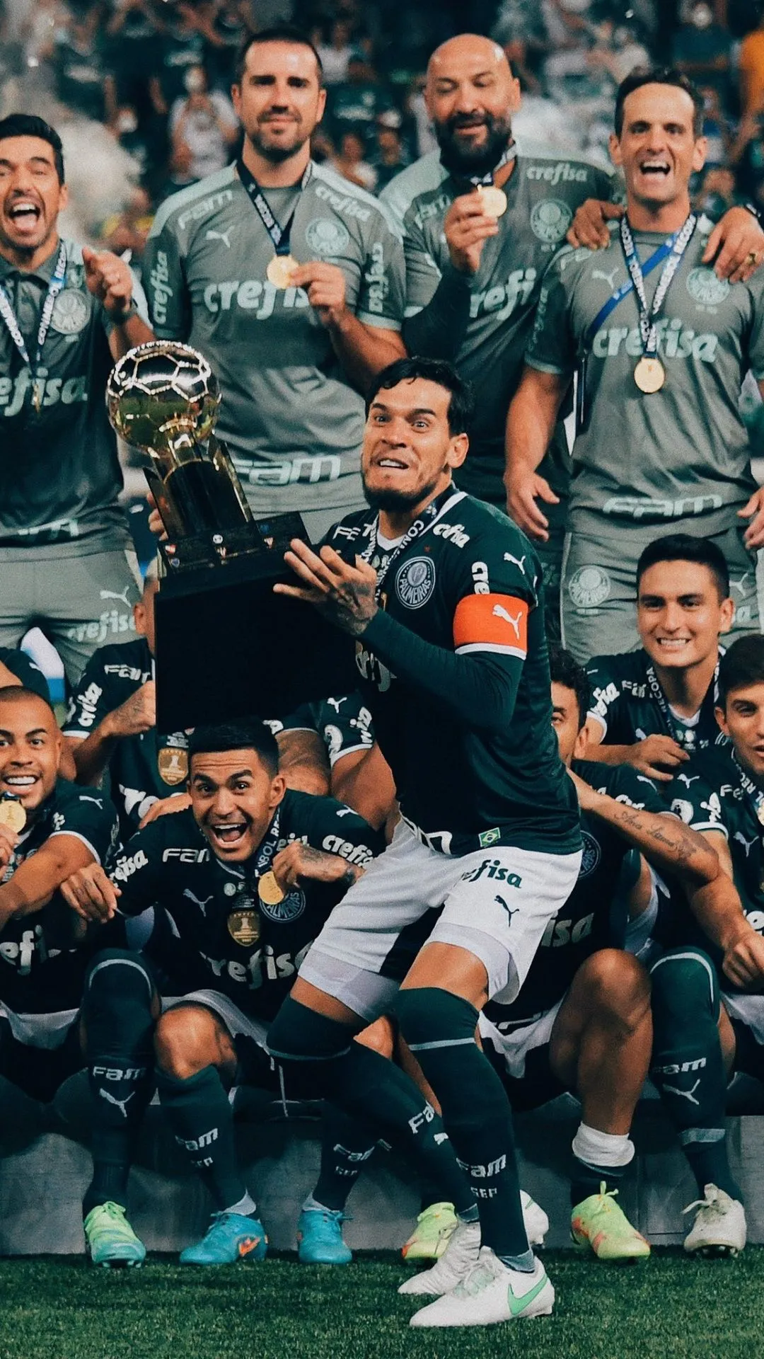 Palmeiras Wallpaper Palmeiras Wallpaper Download