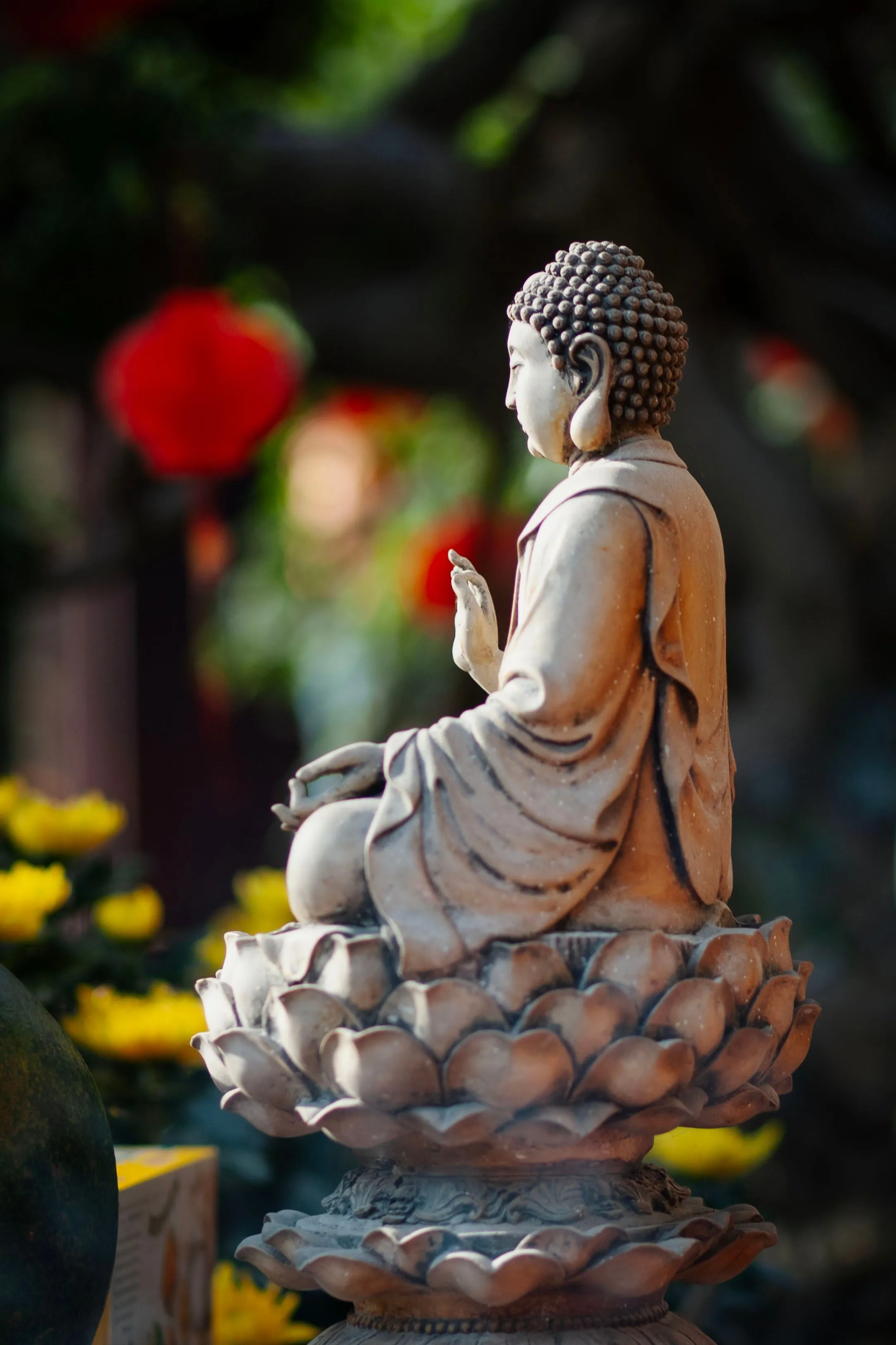 Buddha Lotus Photo, Download The BEST Free Buddha Lotus & HD Image