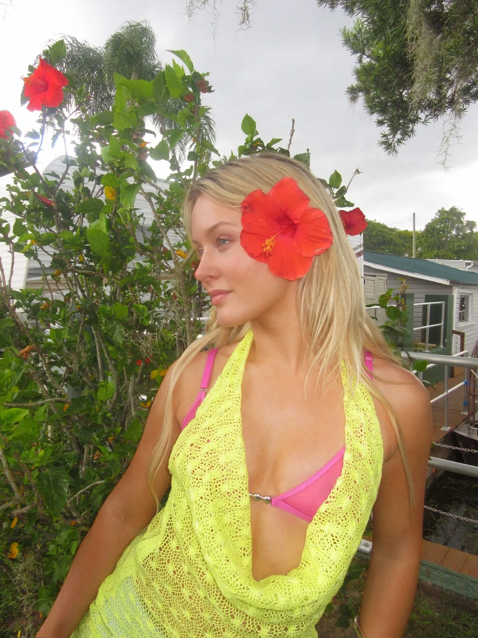 zara larsson midnight sun