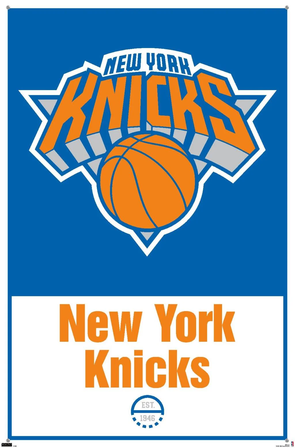 NBA New York Knicks 21 Wall Poster with Pushpins, 22.375 x 34