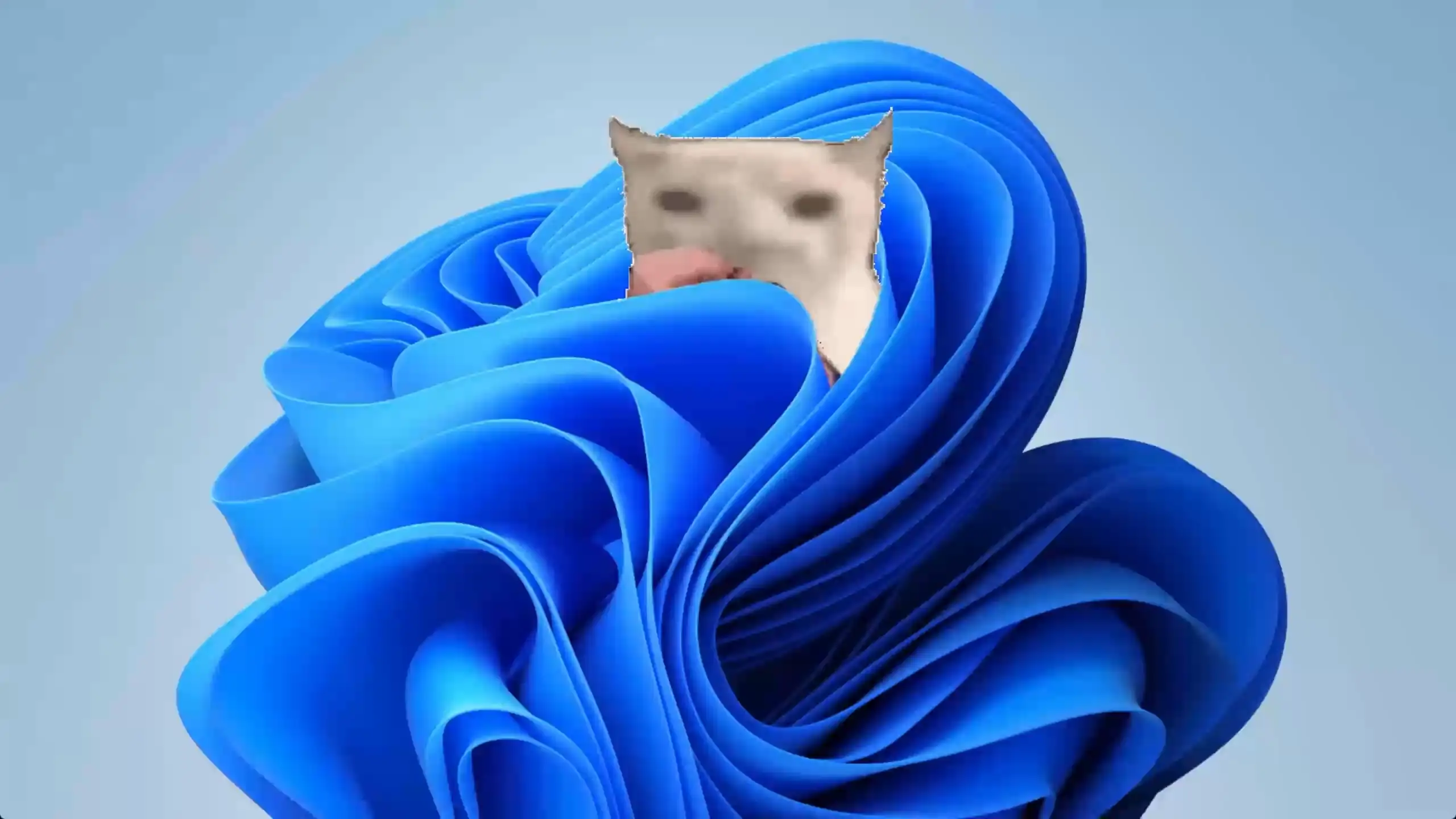 Memes Live Wallpaper (4K & HD)