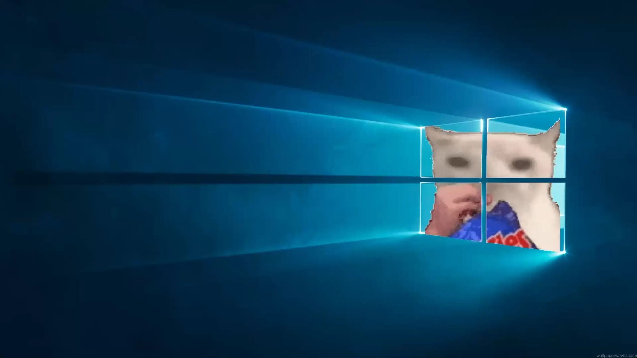 Memes Live Wallpaper (4K & HD)