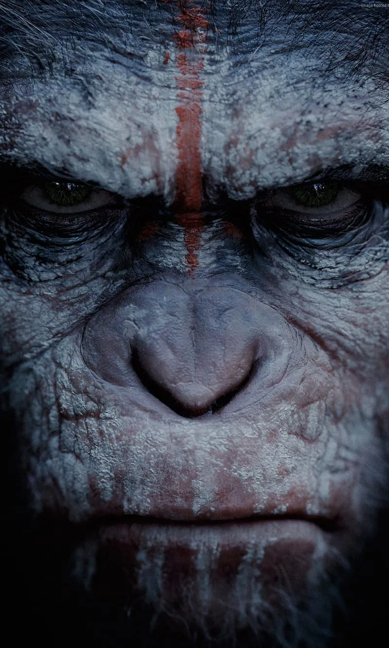 Planet of The Apes, guerra, HD phone wallpaper
