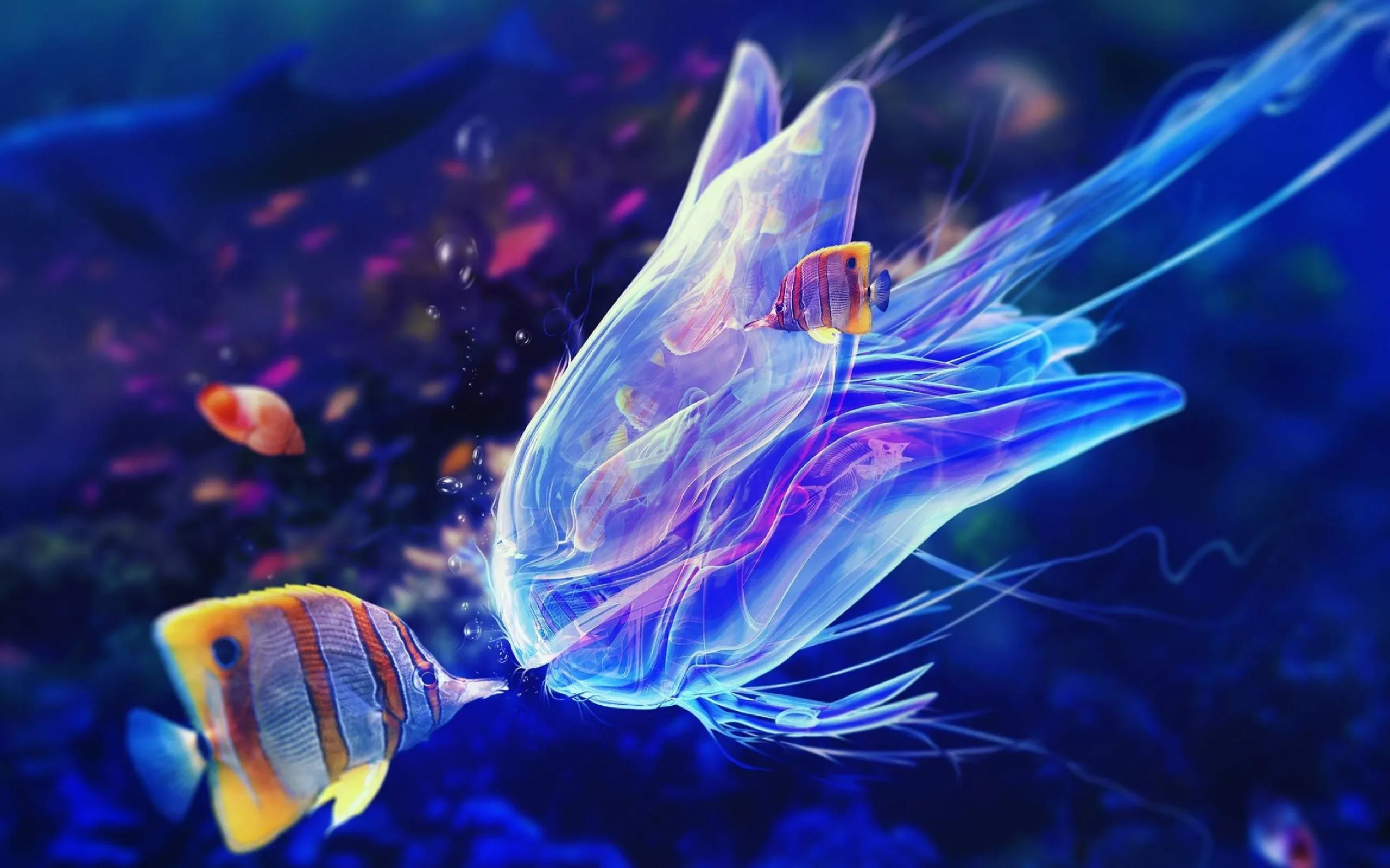 Sea Animals Wallpaper