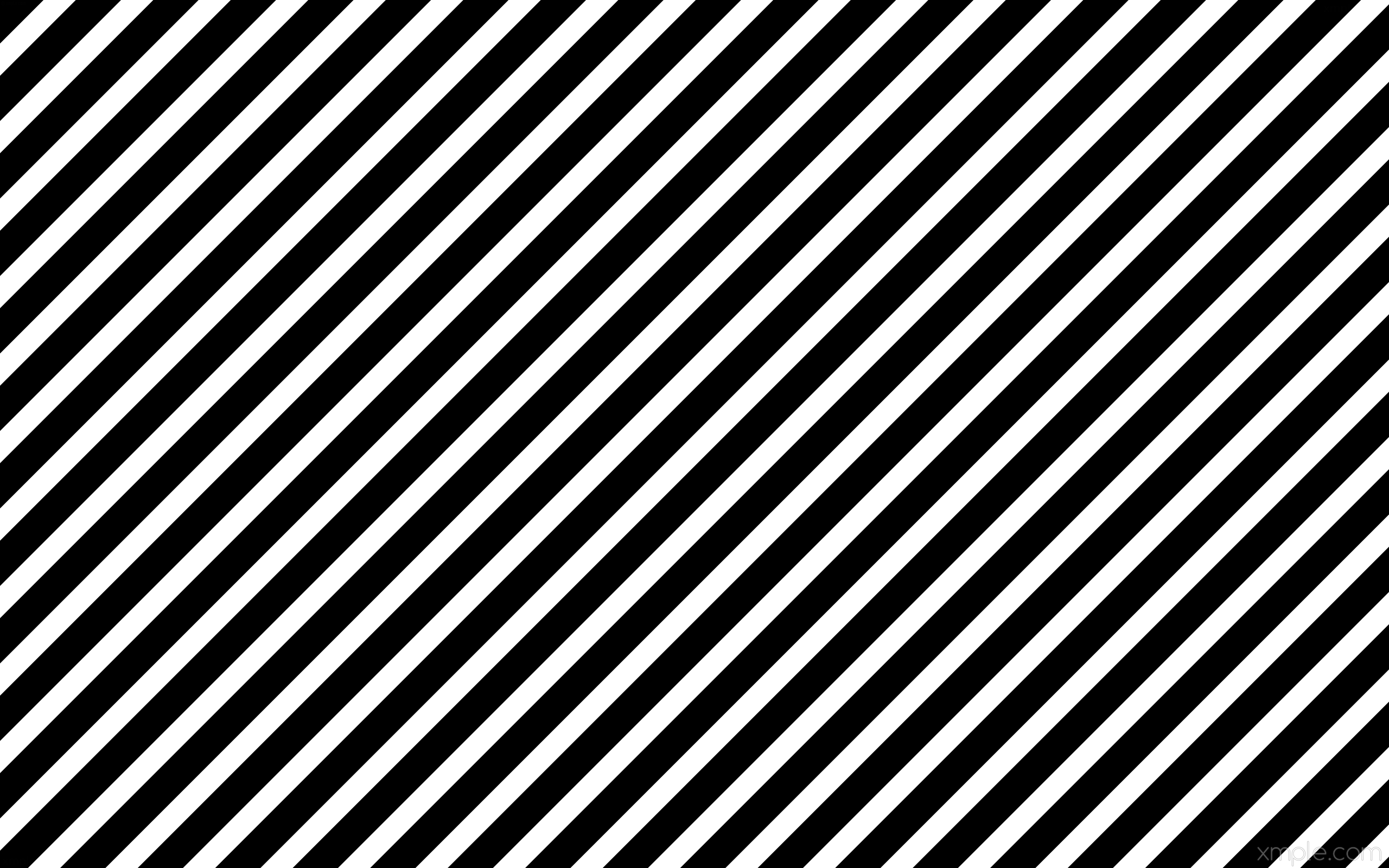 Black white lines streaks stripes 2560x1600 wallpaper 4K HD