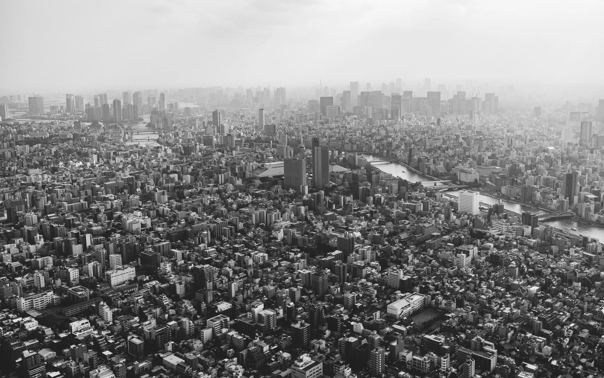 Download wallpaper 2560x1600 buildings, city, fog, tokyo, japan, black and white widescreen 16:10 HD background
