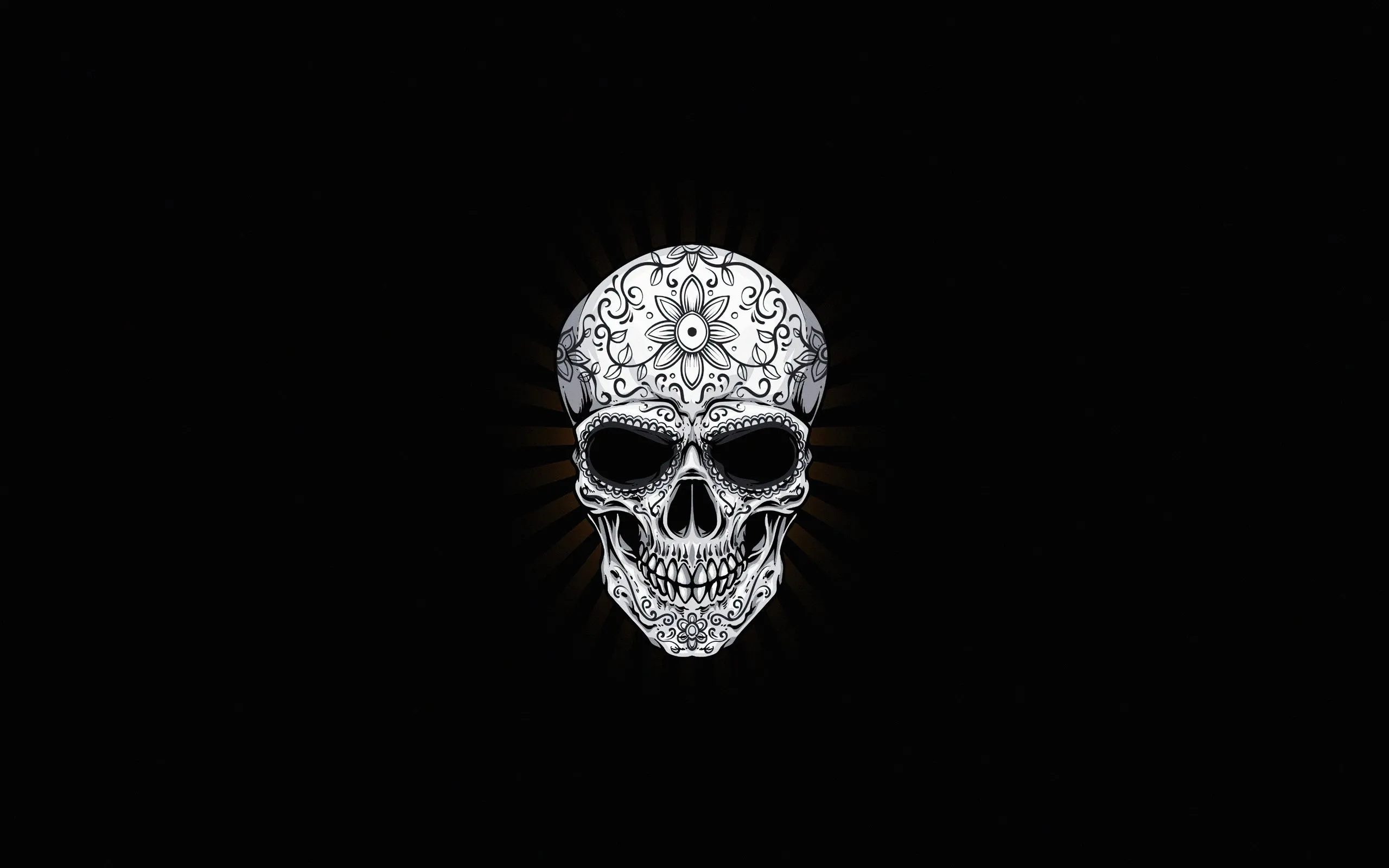 White Skull Dark 4k Wallpaper, 2560x1600 Resolution HD 4k Wallpaper, Image, Background, Photos and Picture