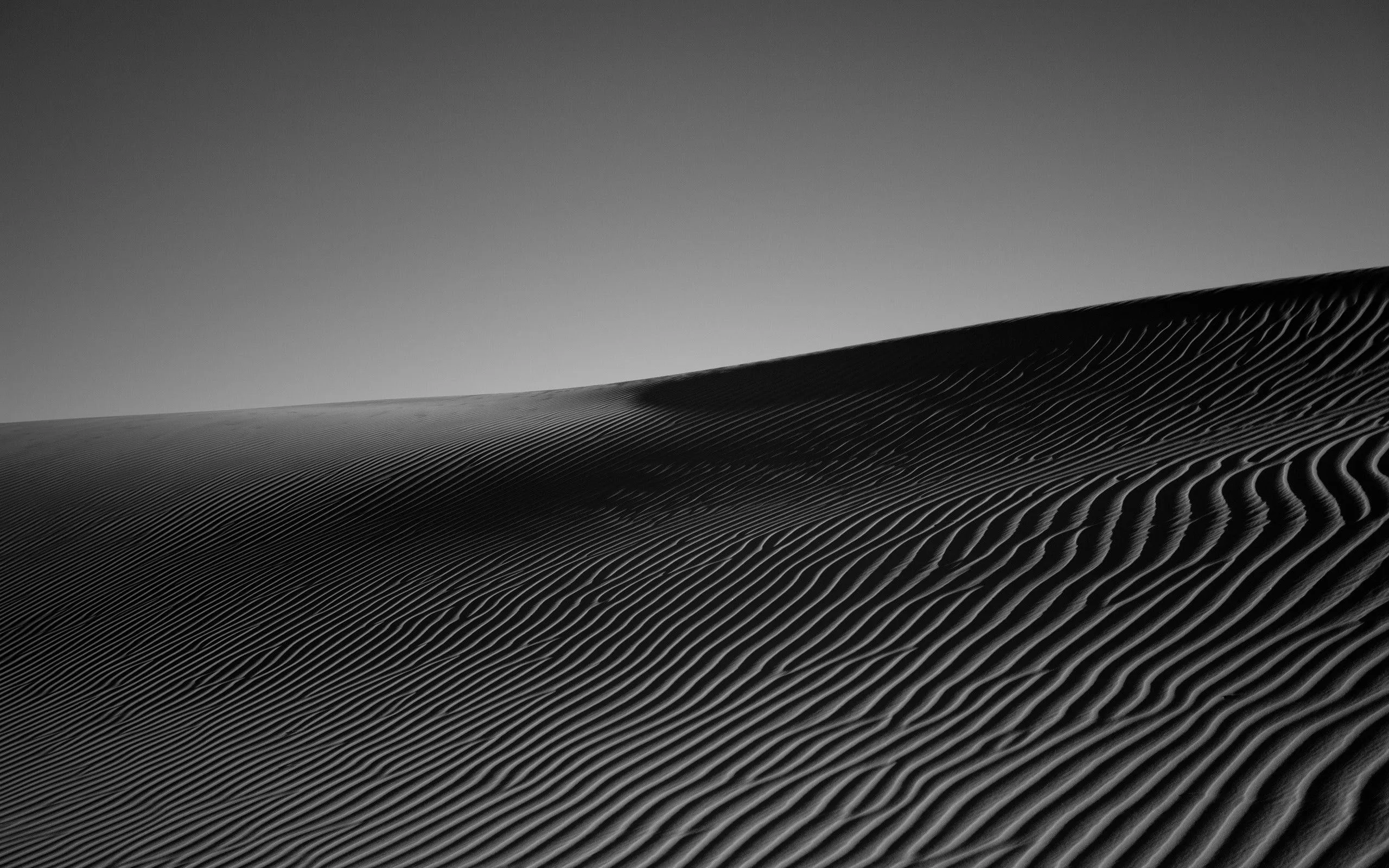 Wallpaper Grayscale Photo of Desert Sand, Background Free Image