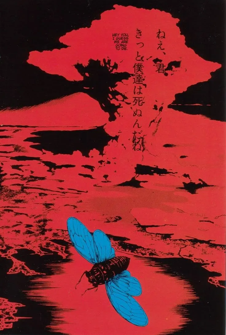 suehiro maruo