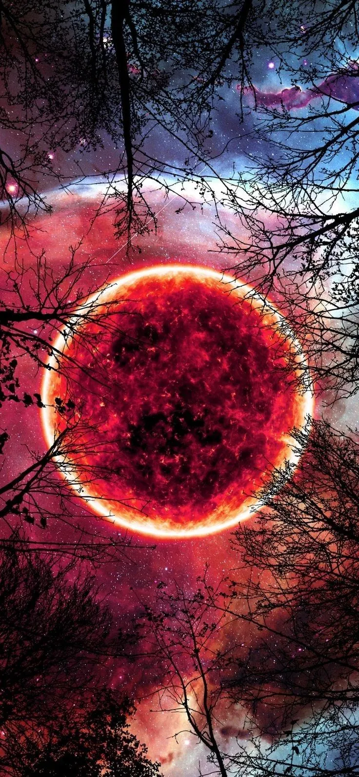 Red Moon HD Wallpaper
