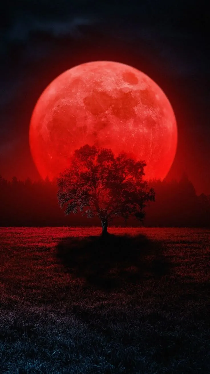 Blood Red Moon Rising Over Field. Luna rossa, Dark red wallpaper, Beautiful moon