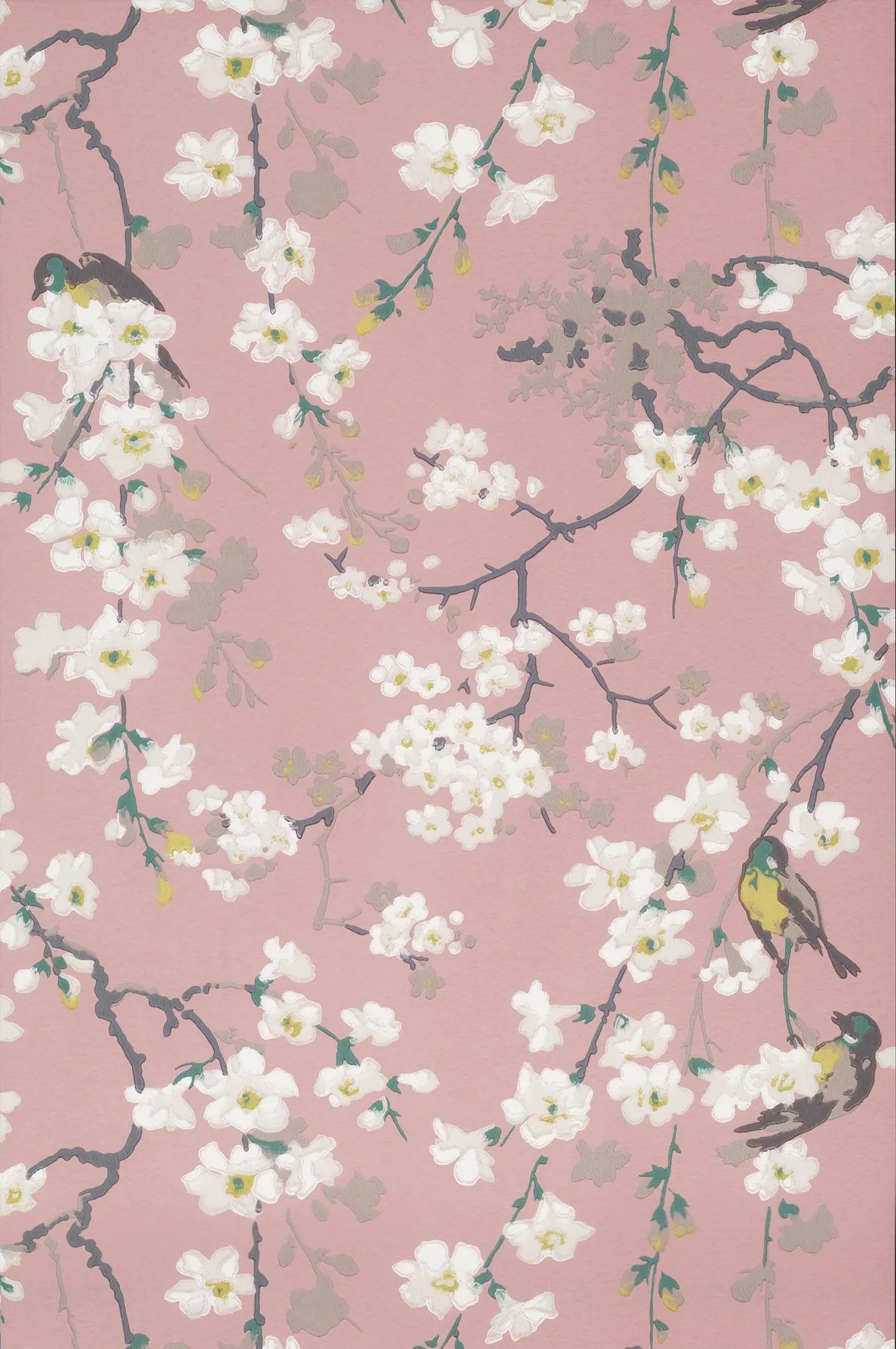 Massingberd Blossom