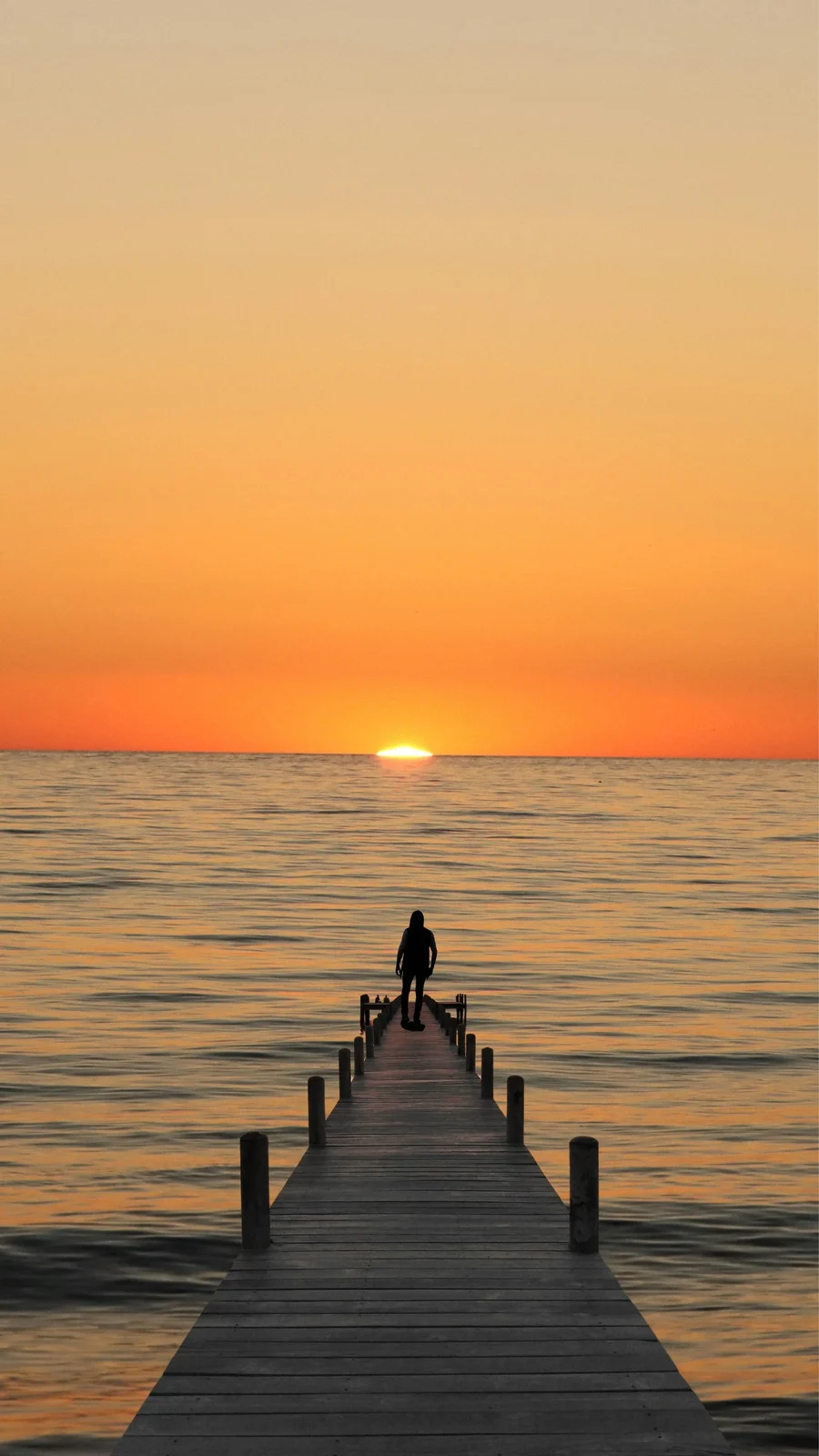 sunset wallpaper