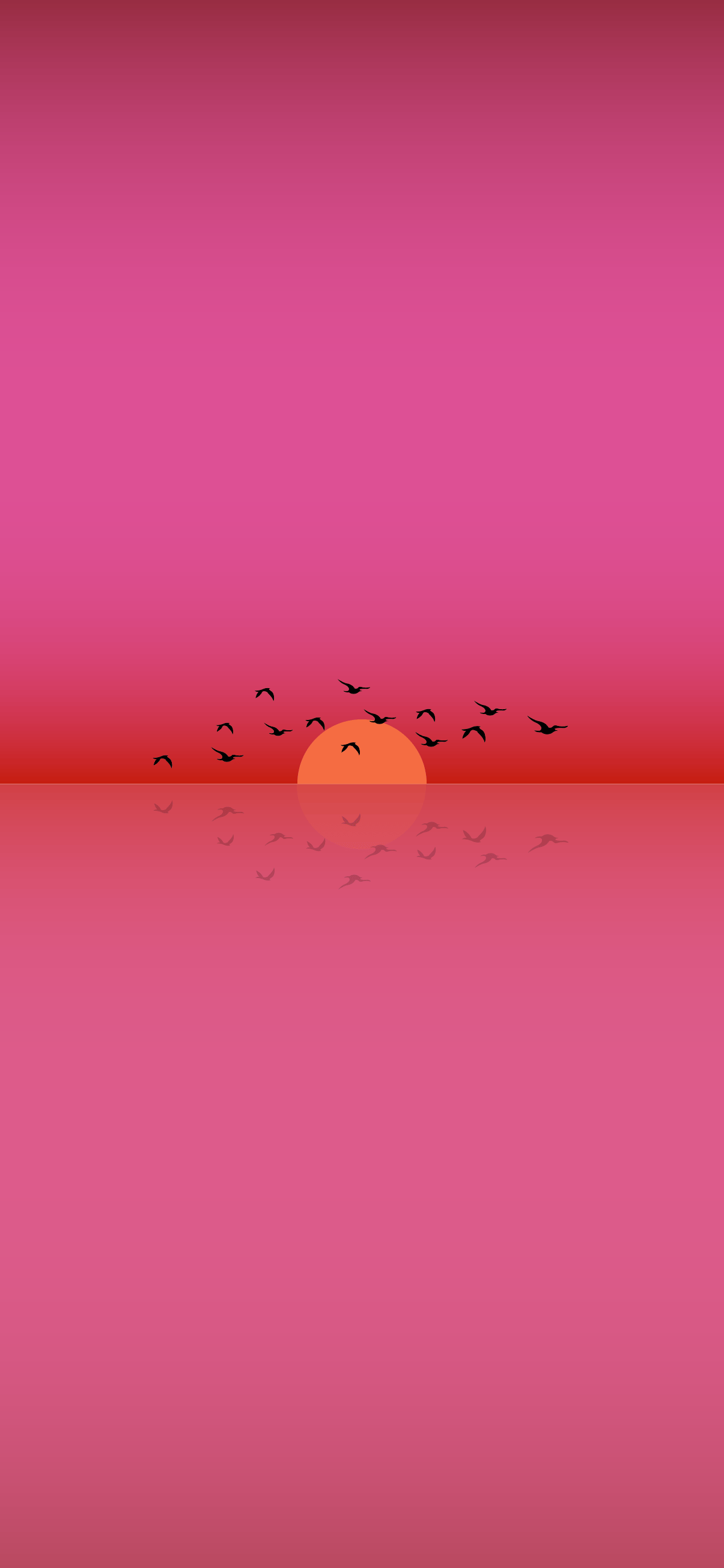Minimalist phone wallpaper and birds flying
